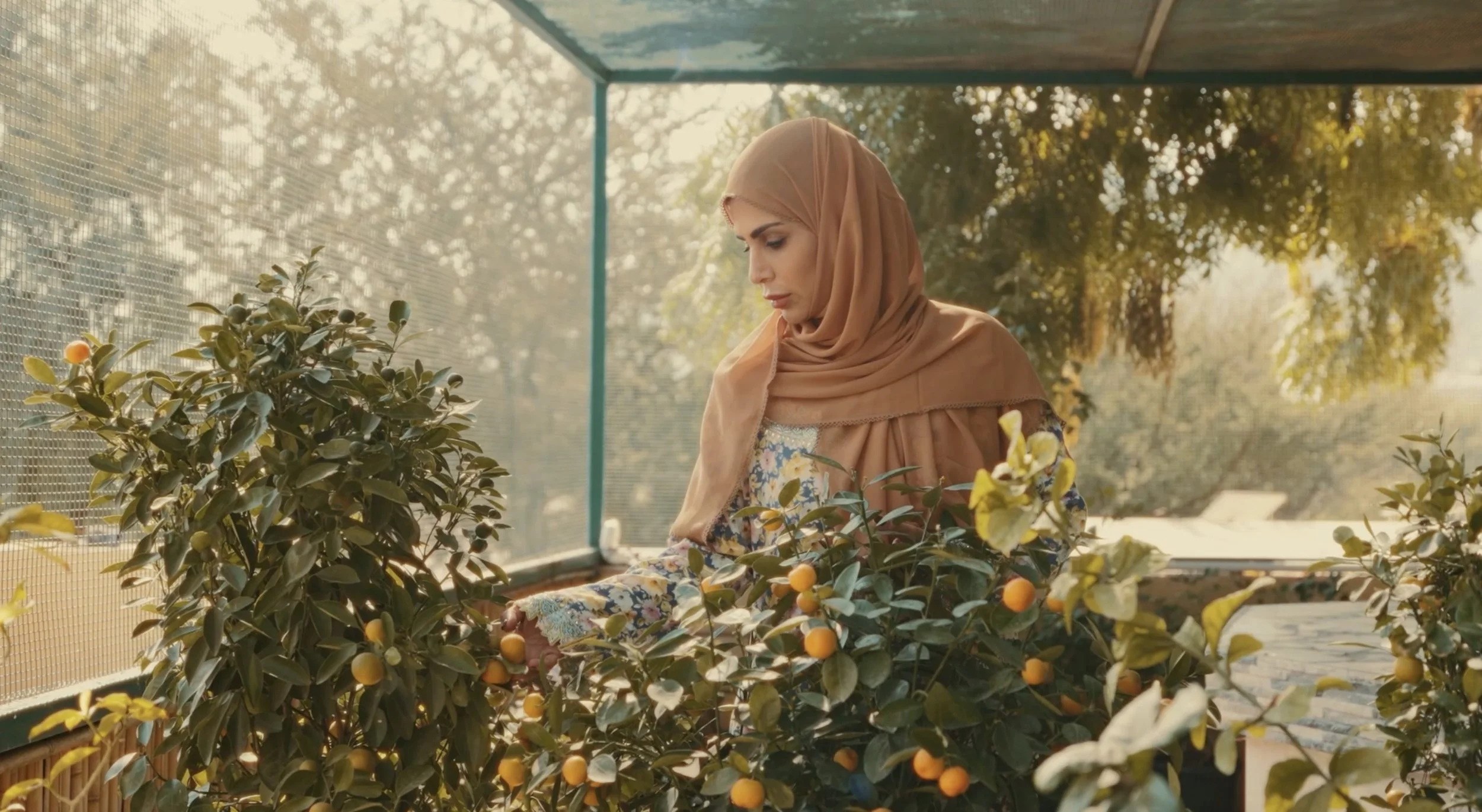 Sheikh Mansour bin Zayed Award for Agricultural Excellence