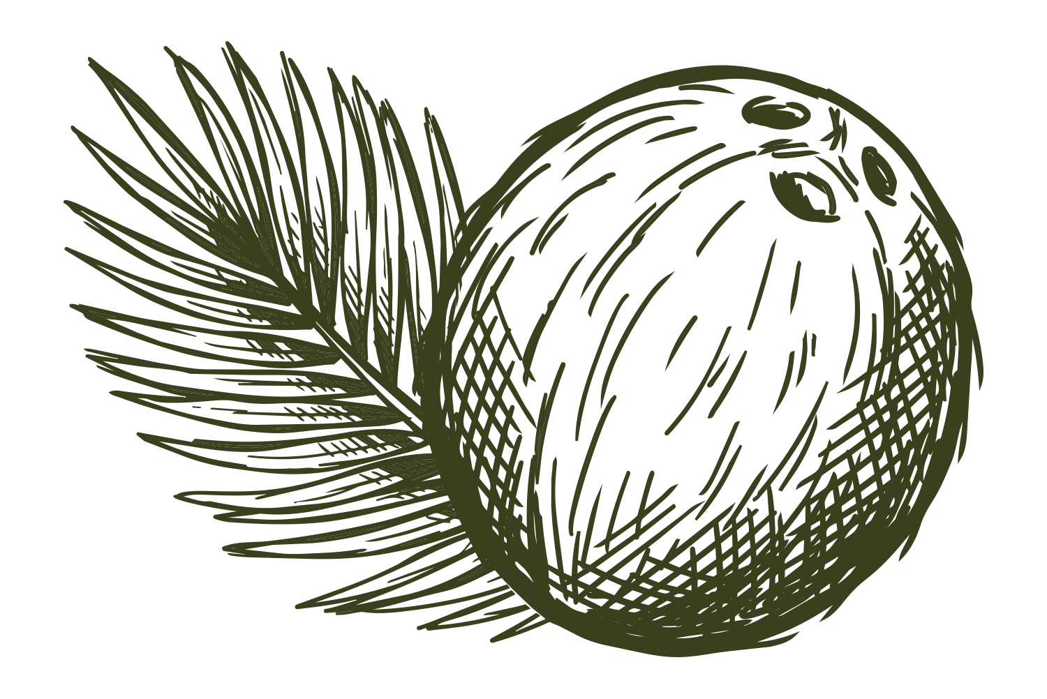 coconut.png