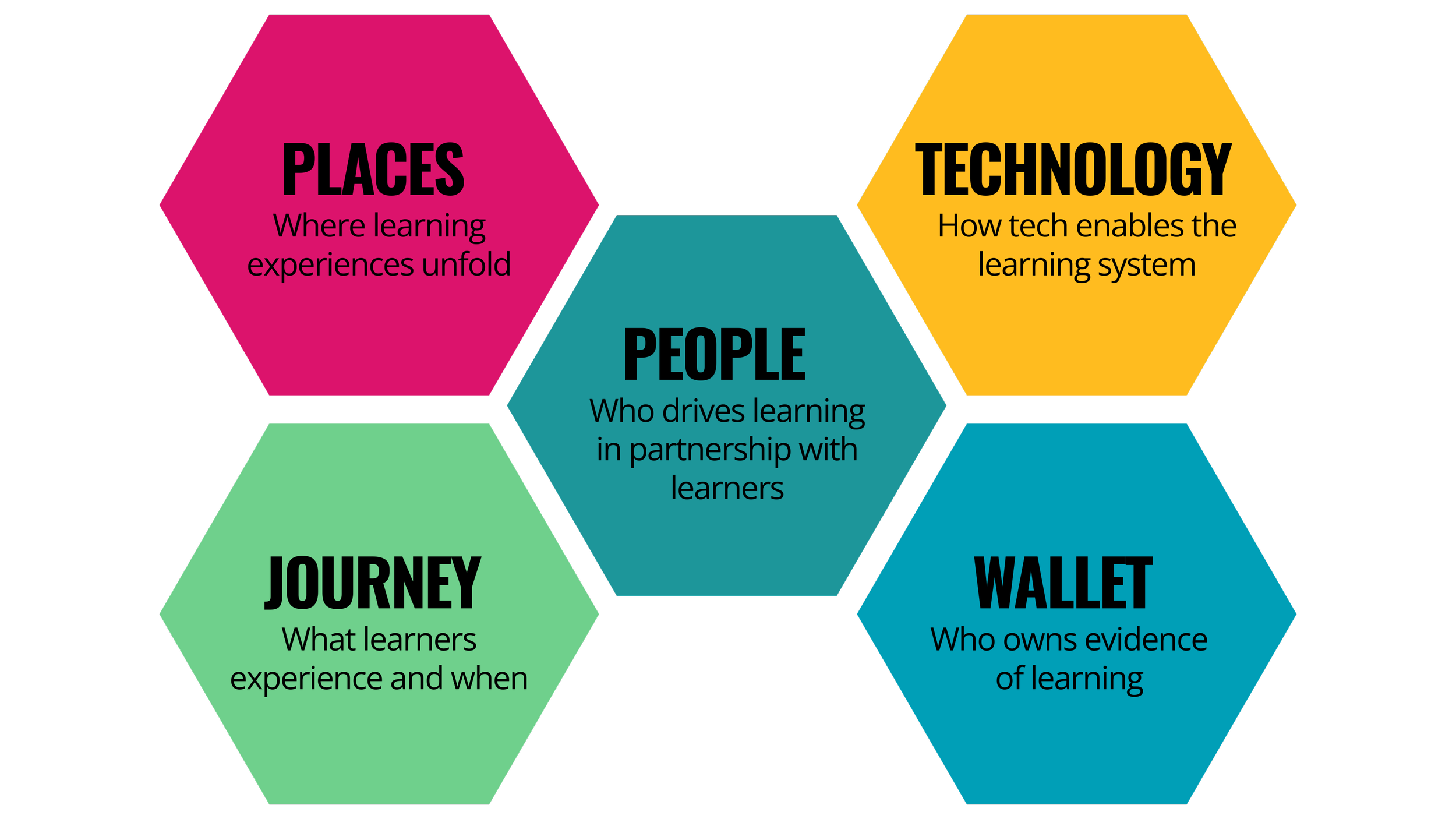 Experience Snapshots — LifelongLearning. Everywhere. Yours.