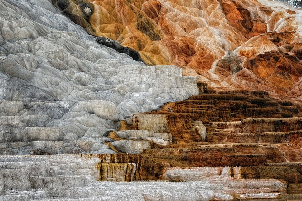 Mammoth Hot Springs  ©2025 Tomas Spross