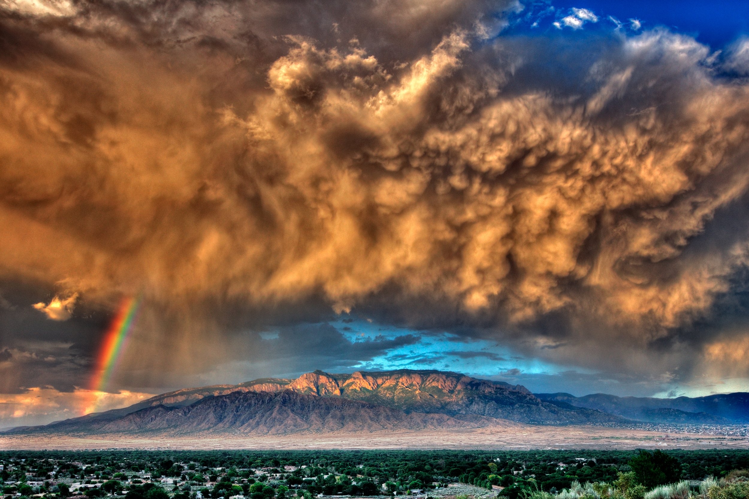 Rejoice!  ©2025 Tomas Spross