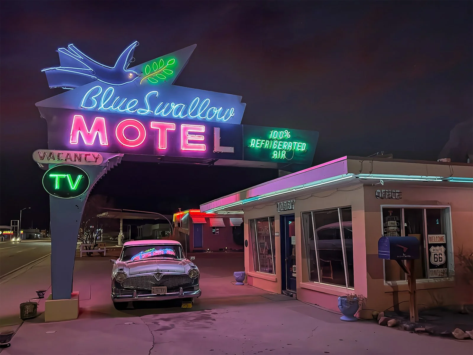 Blue Swallow neon (P9141)-2.jpg