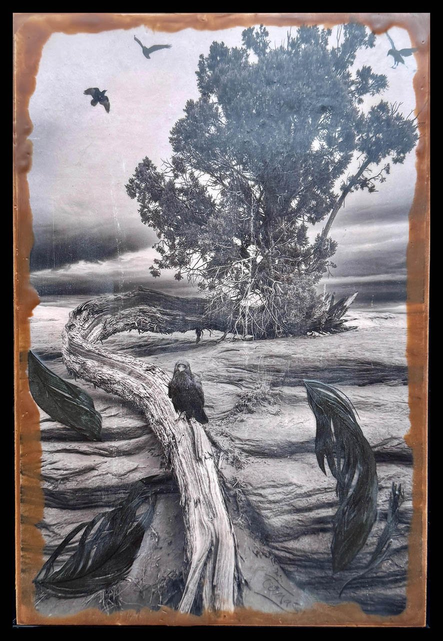 Ancient Ones ©2025 Tomas Spross