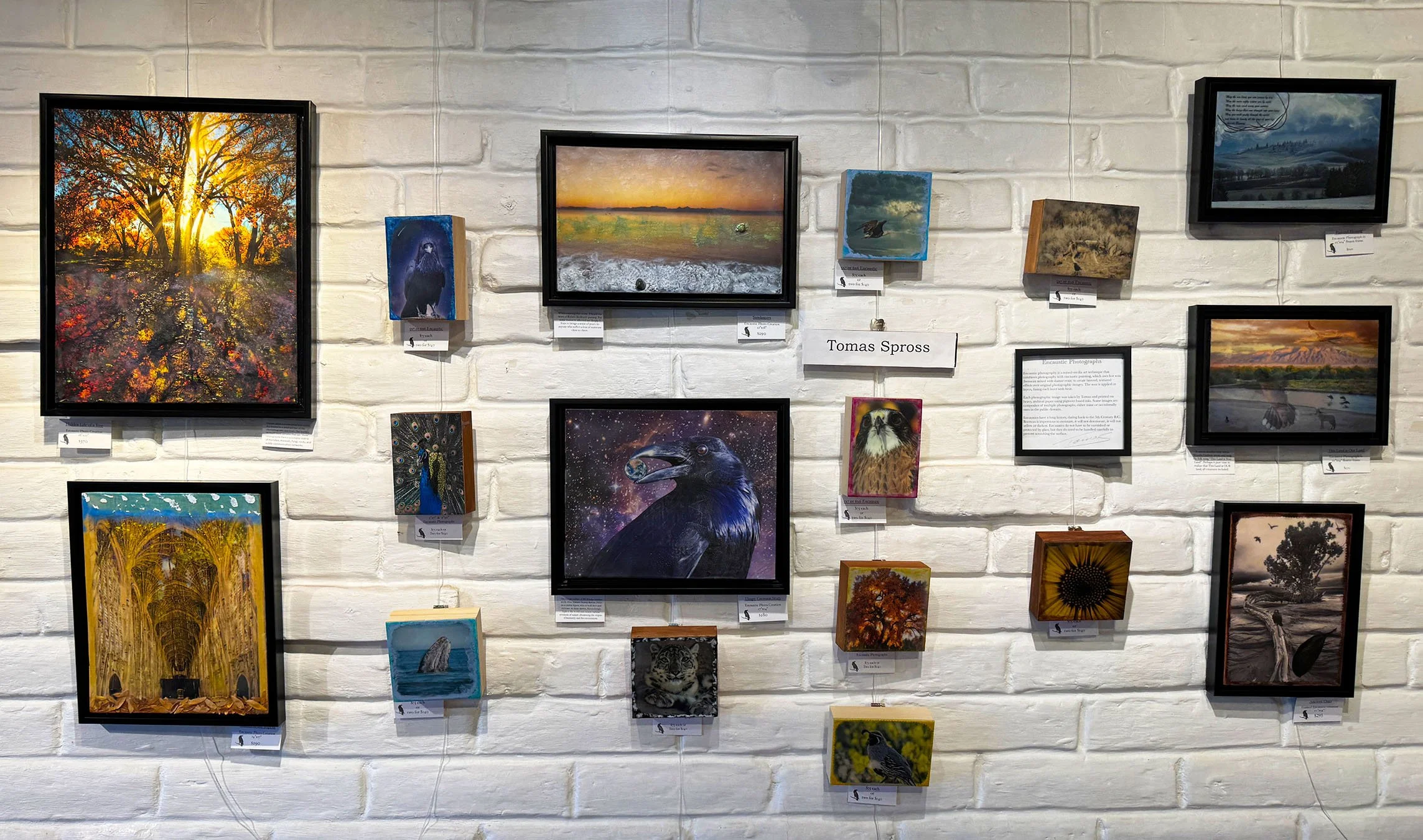 Art gallery display with multiple framed and unframed paintings of landscapes, animals, and abstract scenes on a white brick wall, including a large tree with sunlight, a peacock, a raven, a tiger, and various nature scenes.