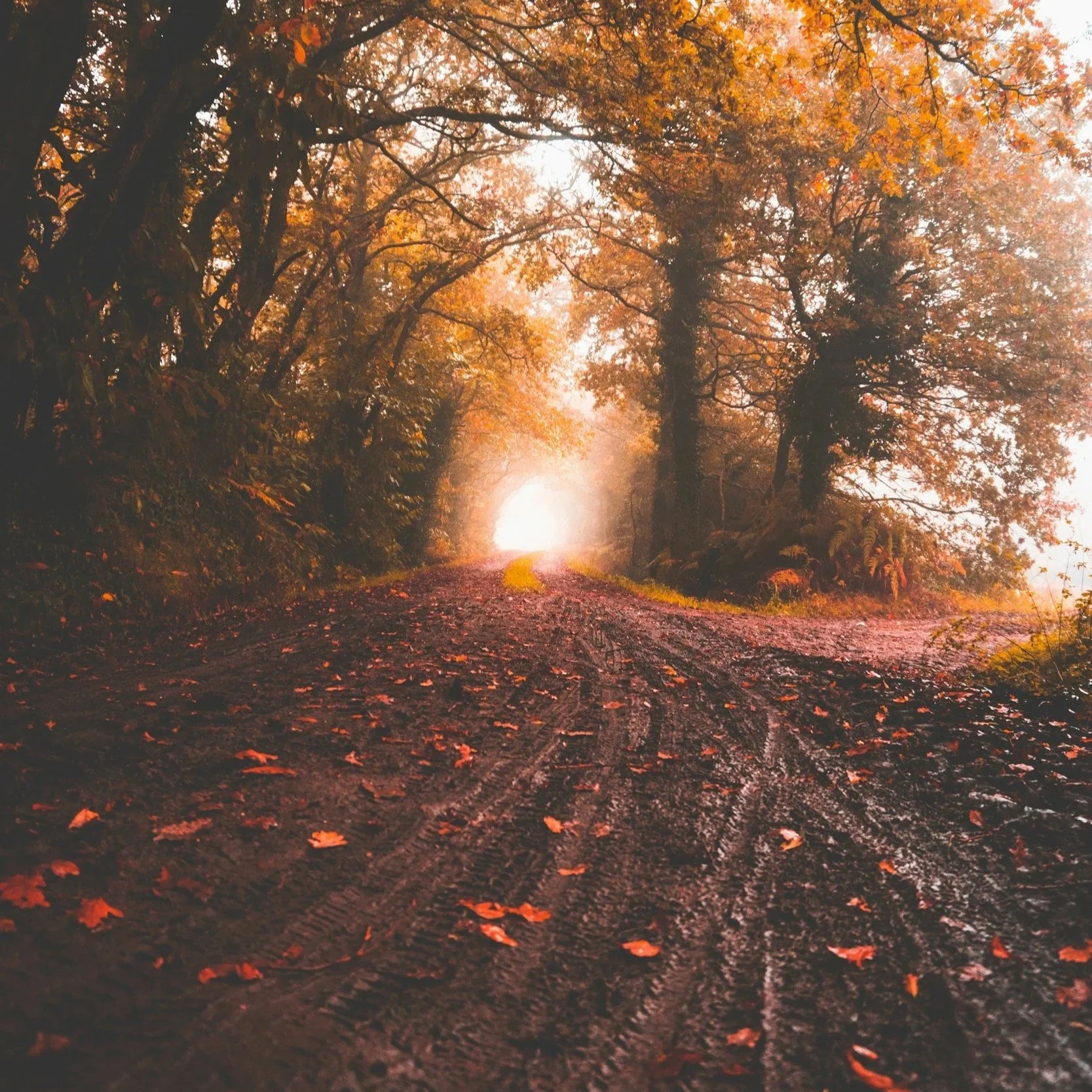 Jesus Our Good Shepherd