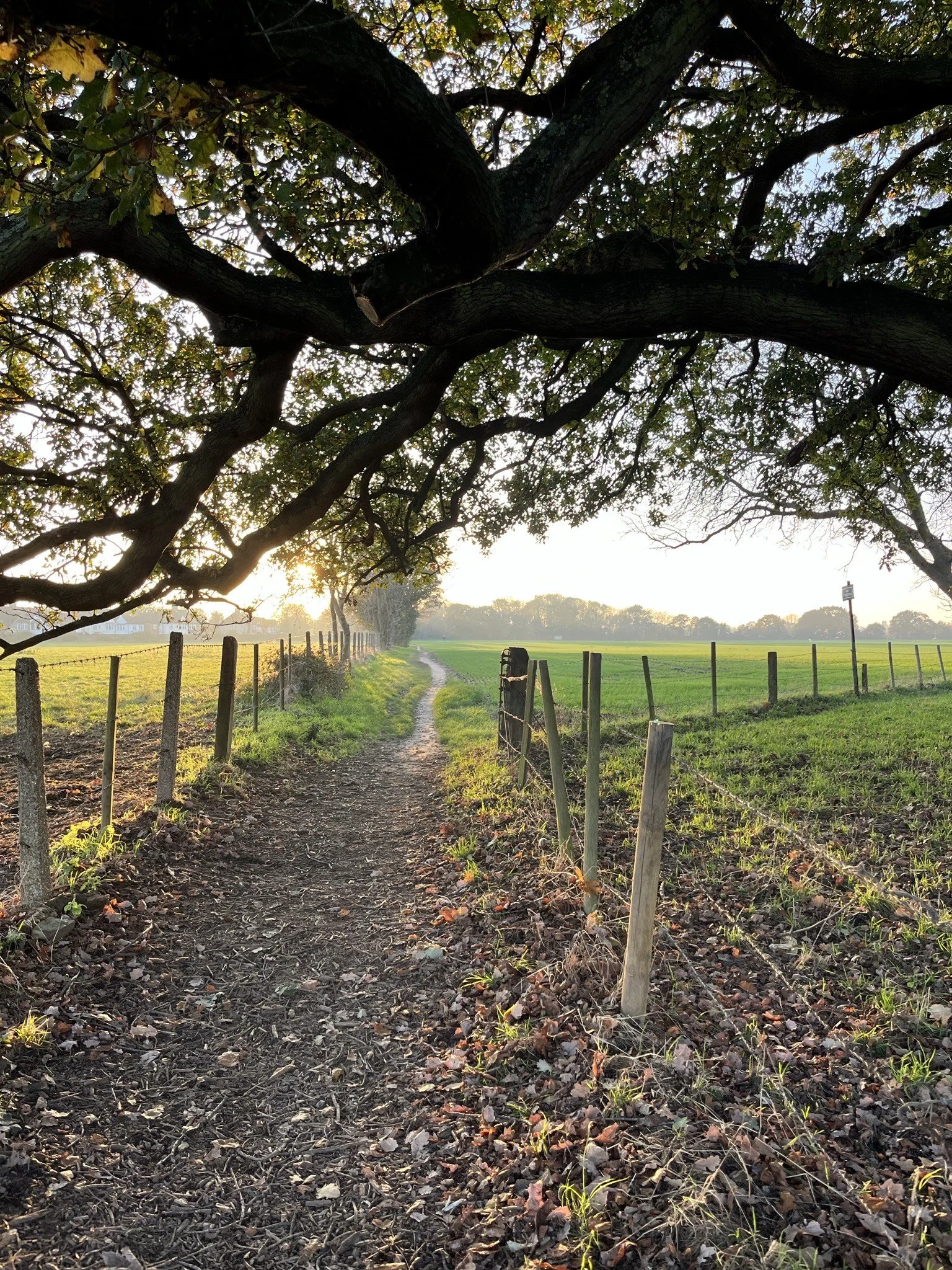 Growing in Intimacy with God 