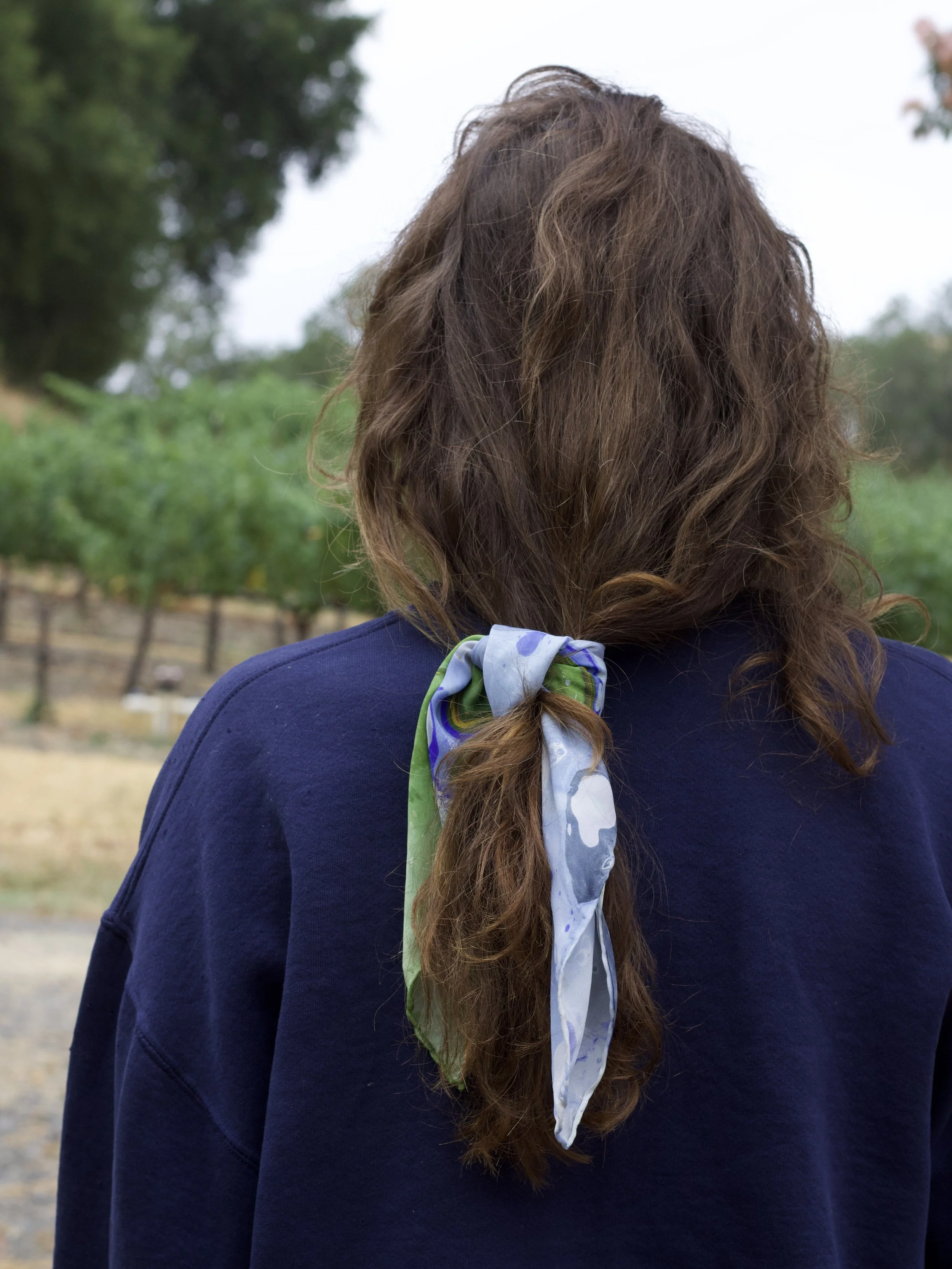 978B3EB7-3EBB-4B36-AD71-A18B079D844F_1_201_a.jpeg (Copy)