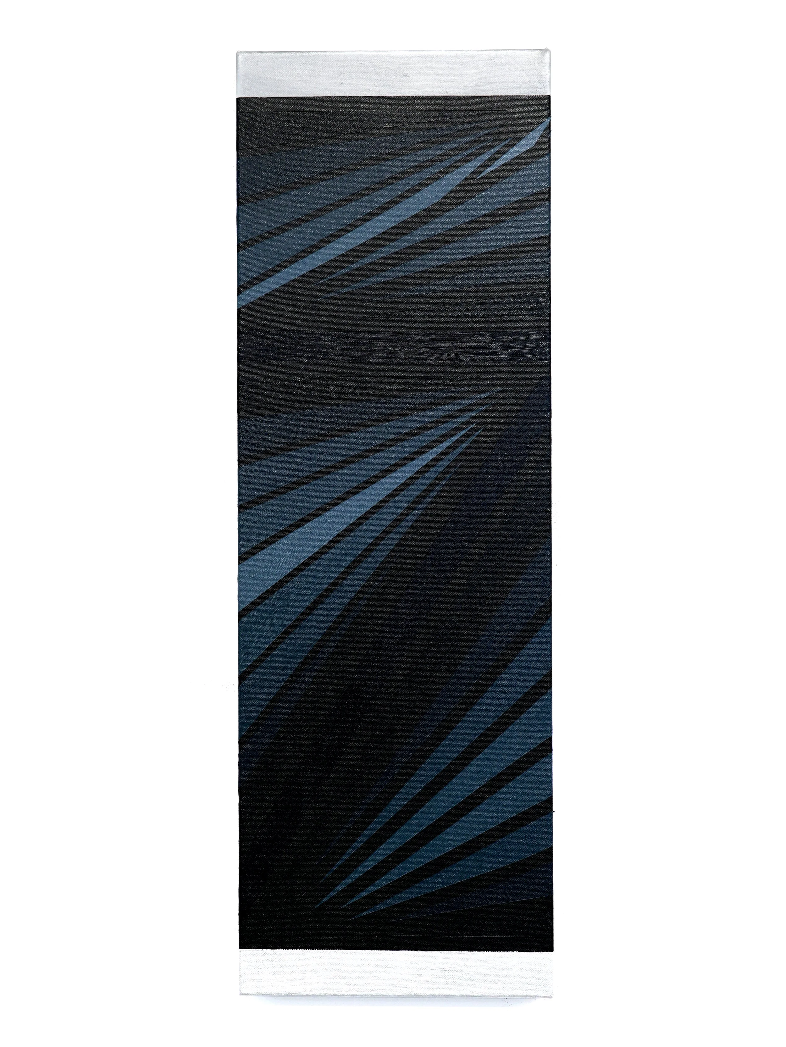 007 
2025
Acrylic on canvas 
10 x 30 inches 