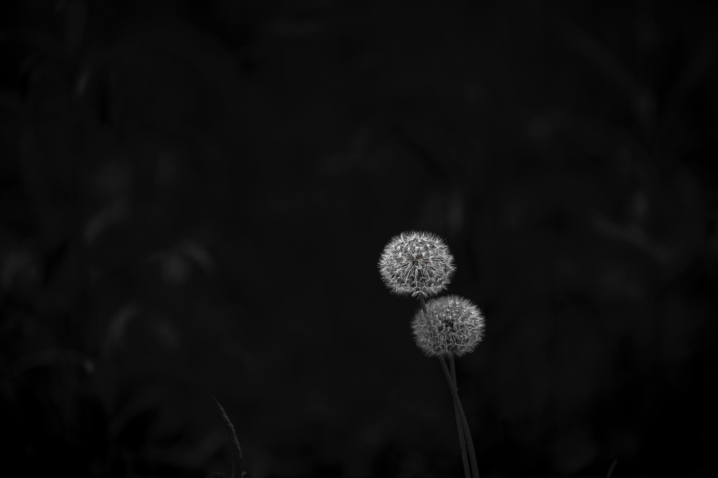 6-DSC_3041.jpg