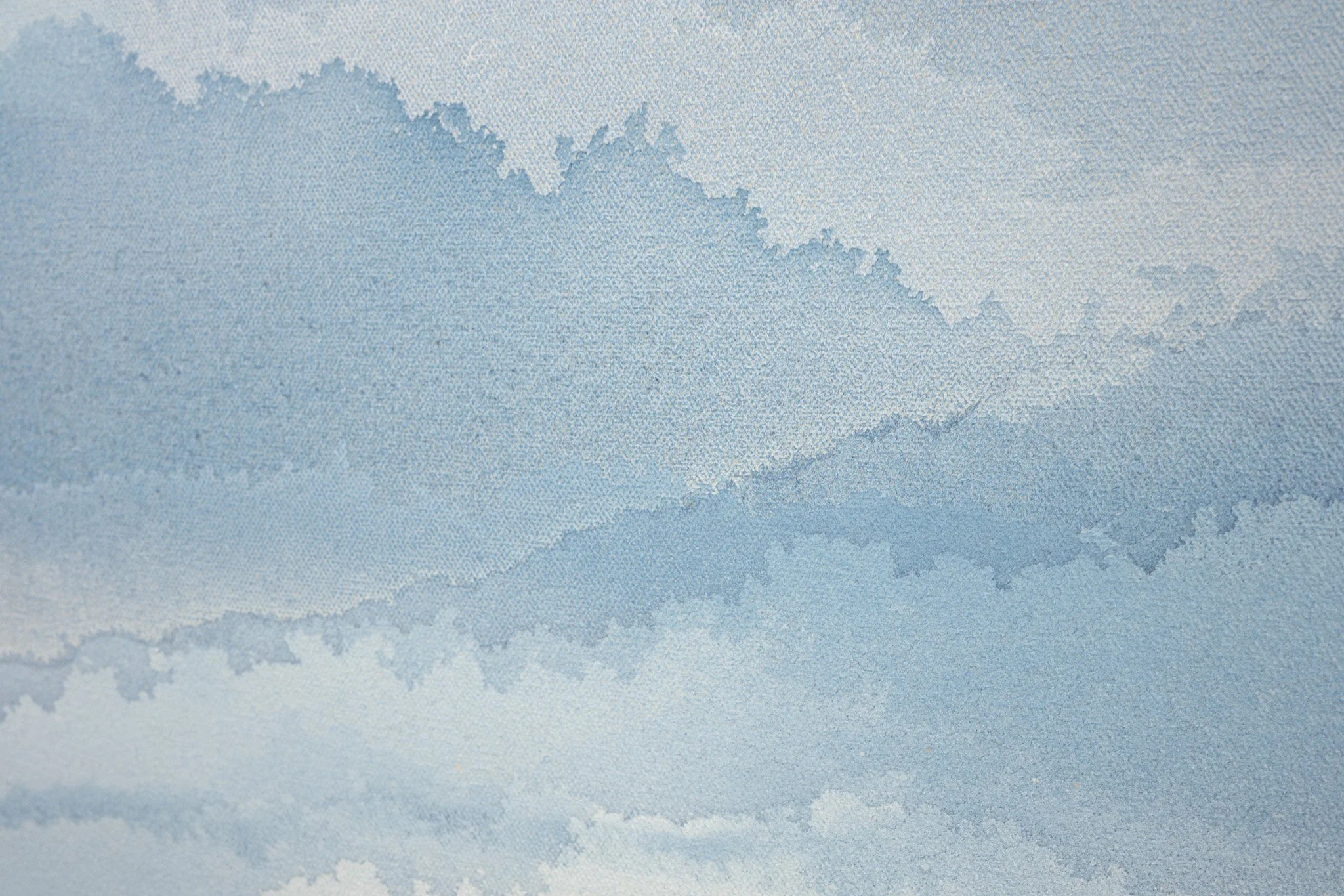 DSC_4222.jpg