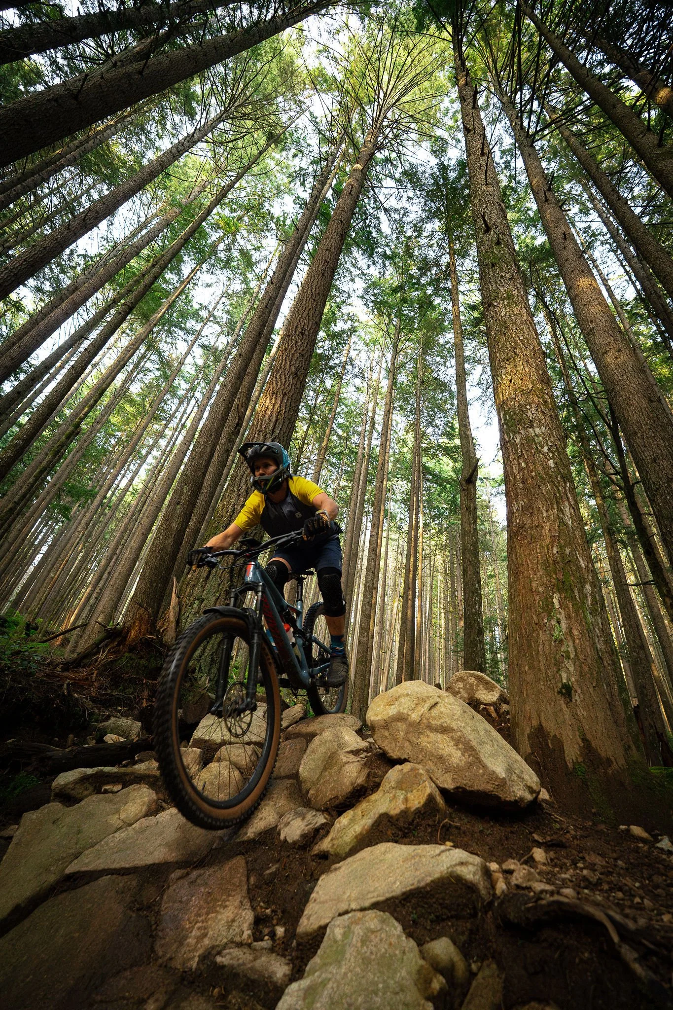 A person mountain biking on a rocky trail in a dense forest with tall trees and green leaves.