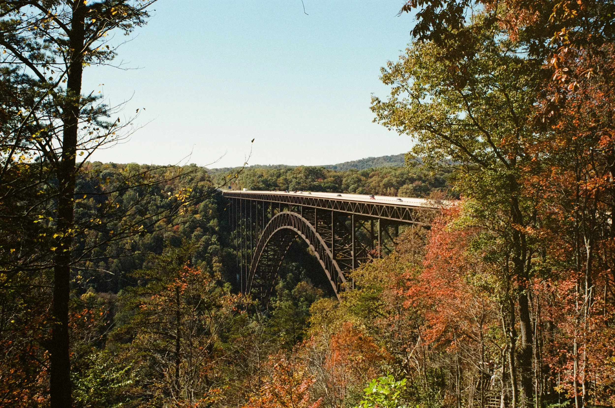 2894_0019.jpg