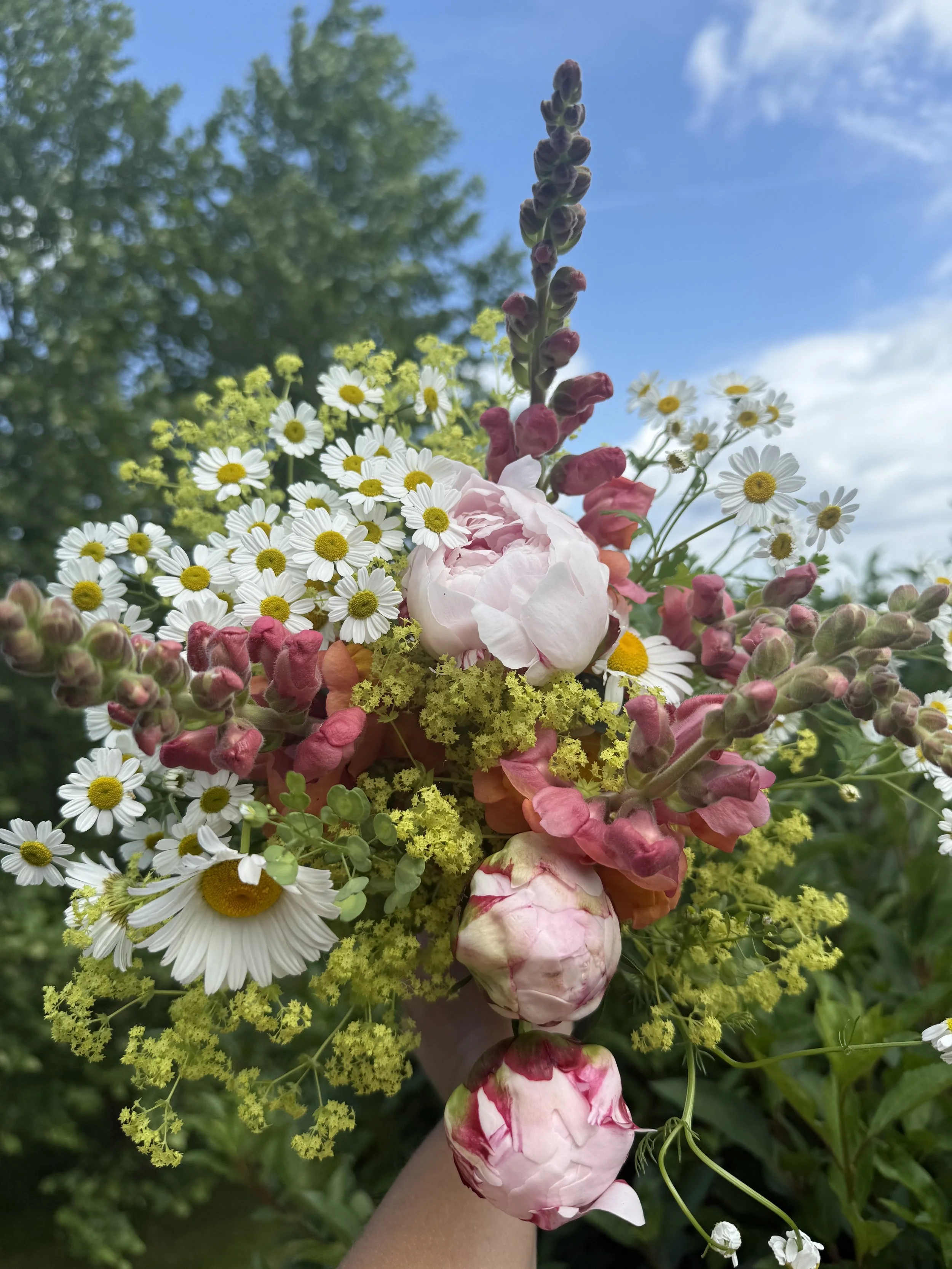 Bouquet Subscription (4 weeks)