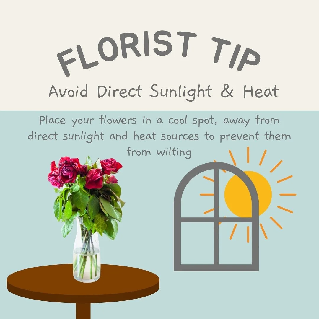 Florist tip of the week ☀️

Avoid direct sunlight and heat when choosing placement for your flowers 💐 

Cool spots ONLY, in an air conditioned room is my first choice. Flowers liked to be kept between 40-60 degrees 

Making this switch should increa