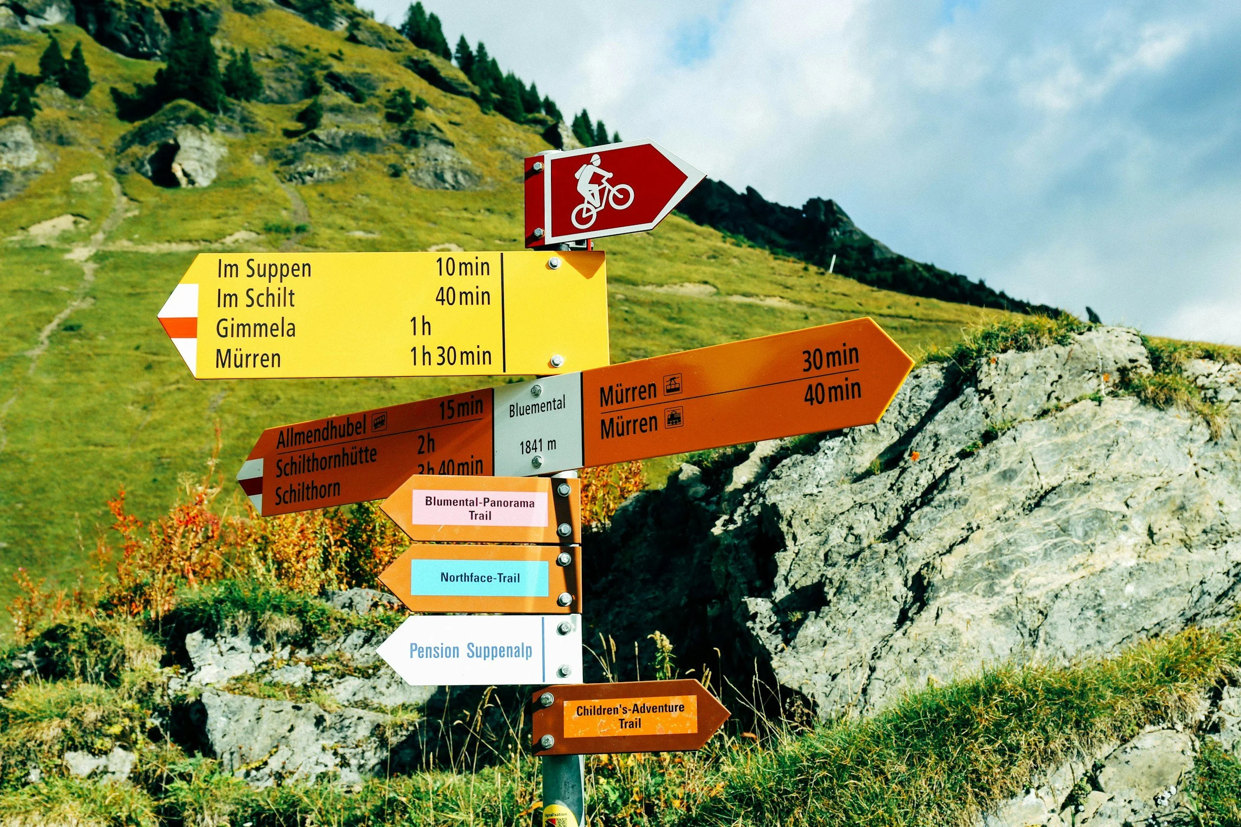 New Pathways Lead to New Processes and Thinking
