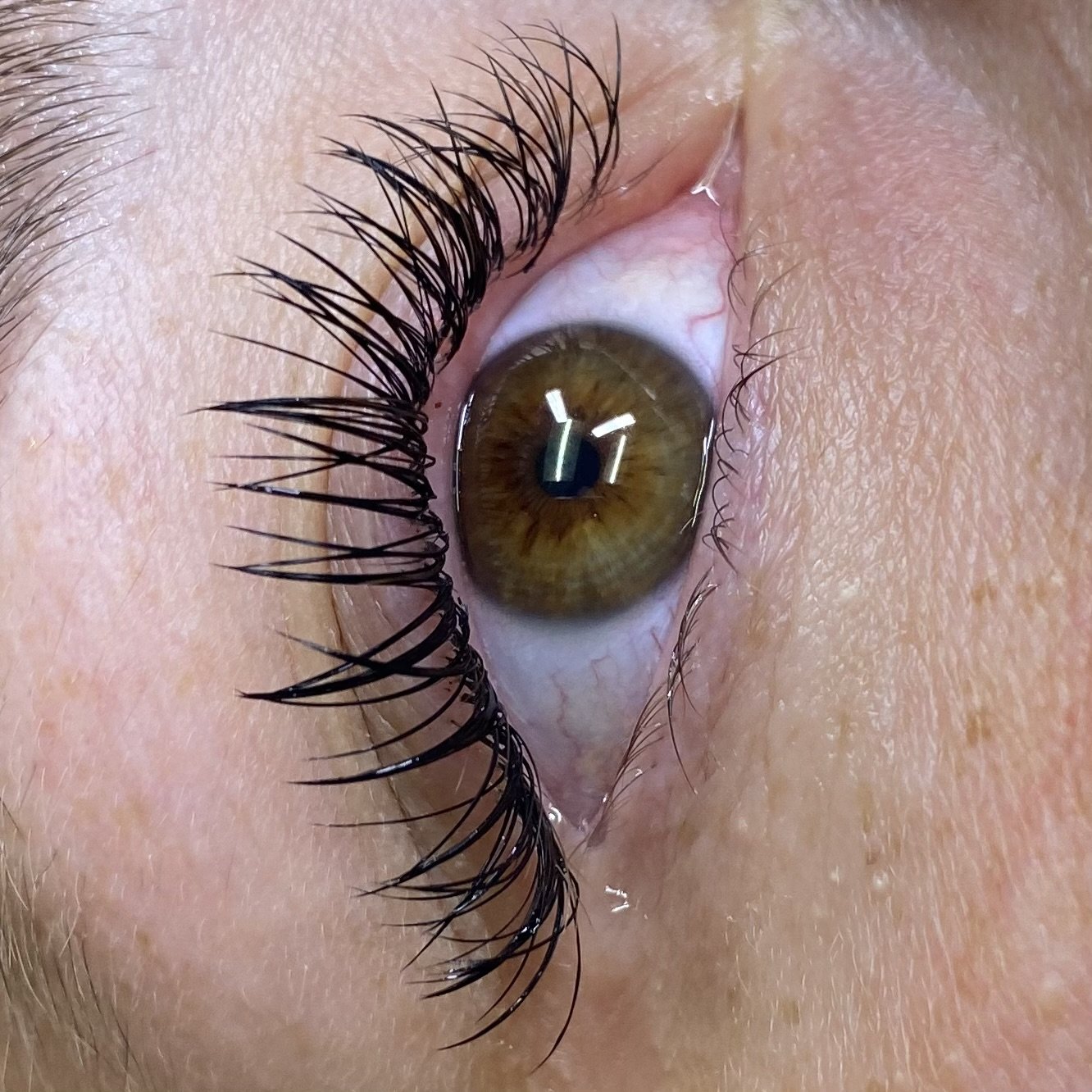 Classic Lashes