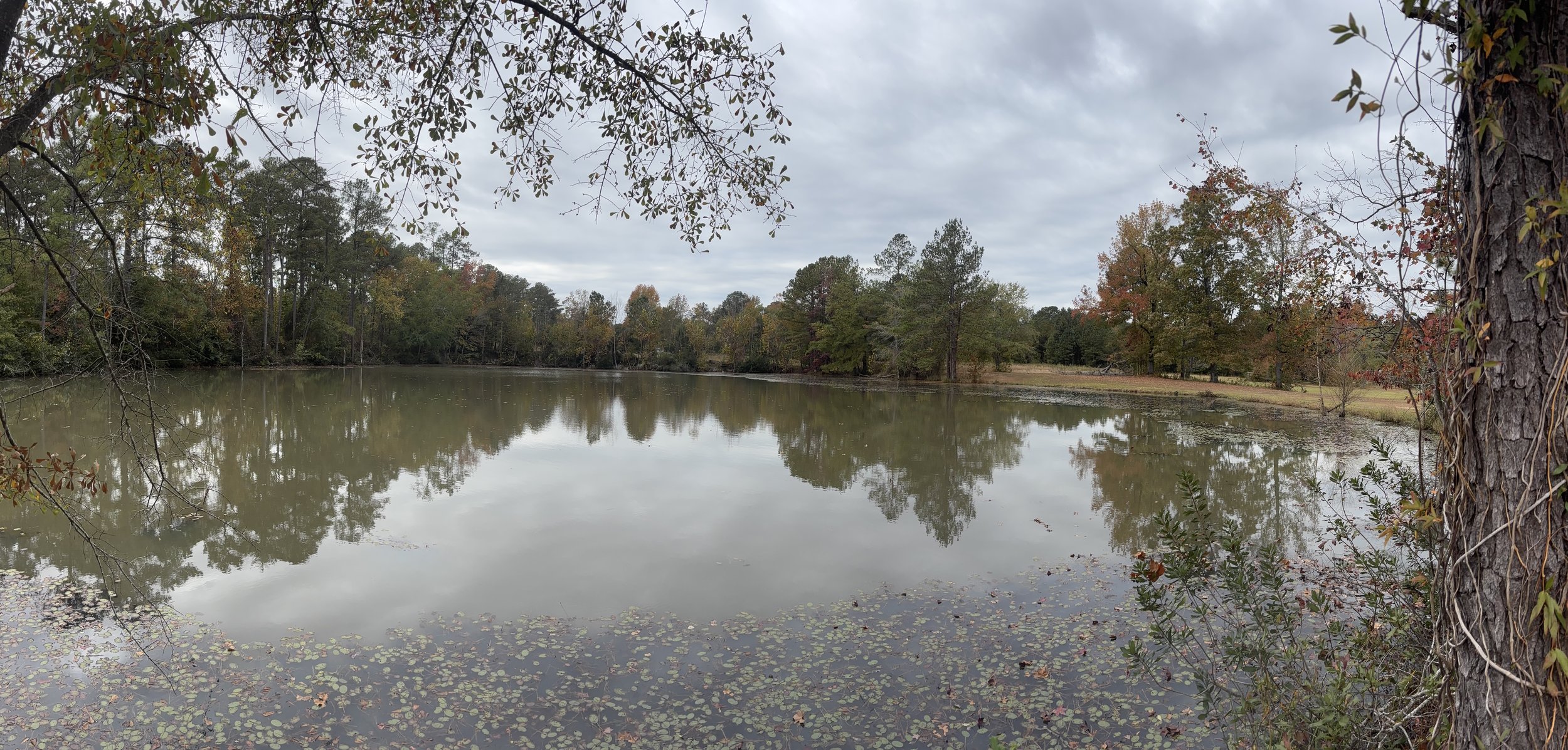 IMG_0177.jpeg