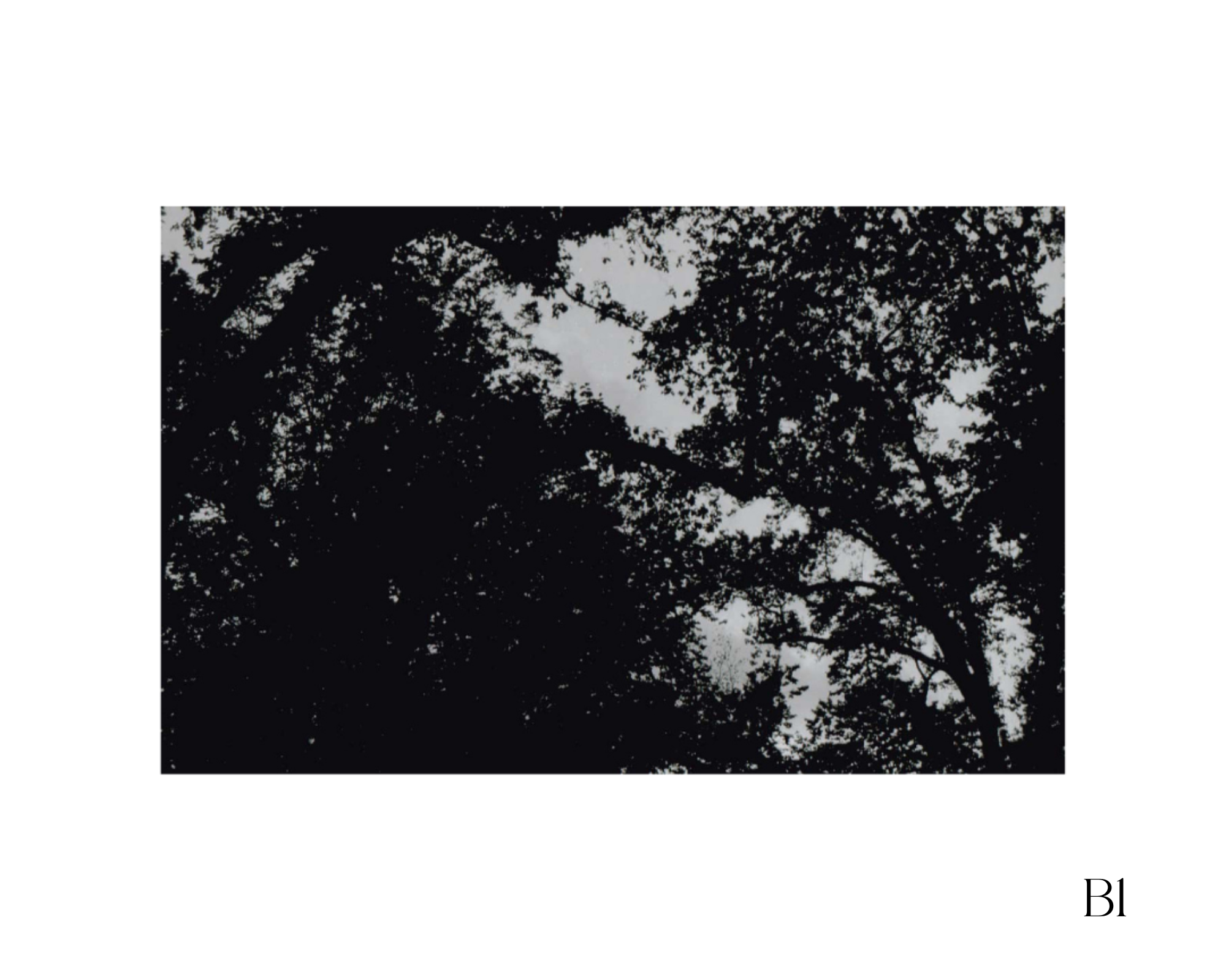 8x 10 Digital Download