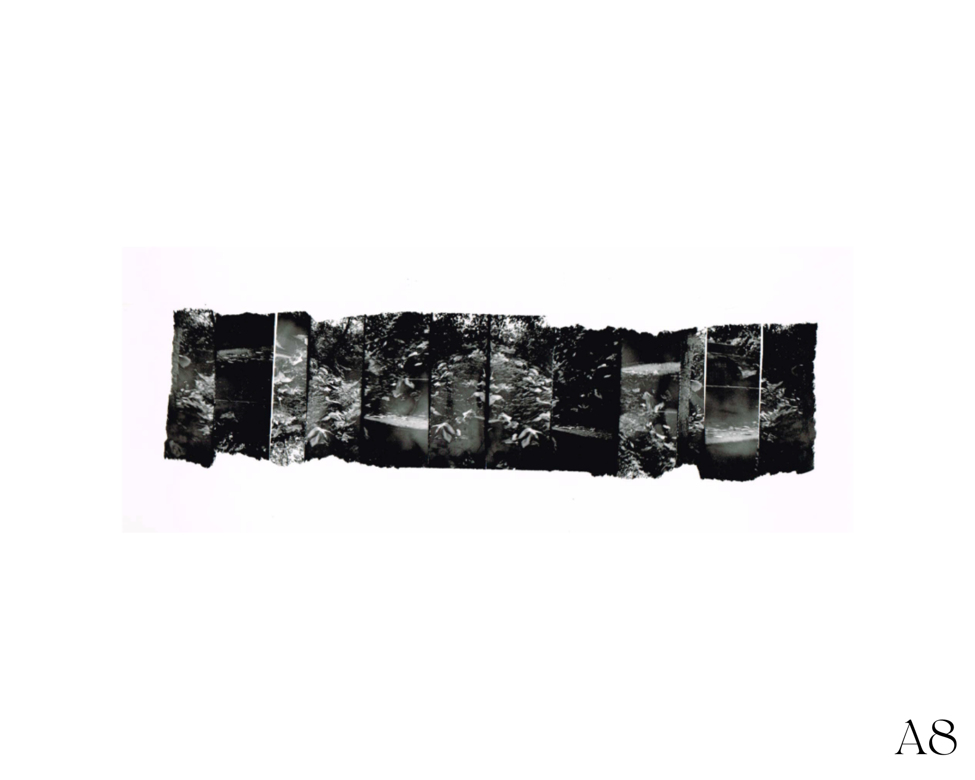 8.png