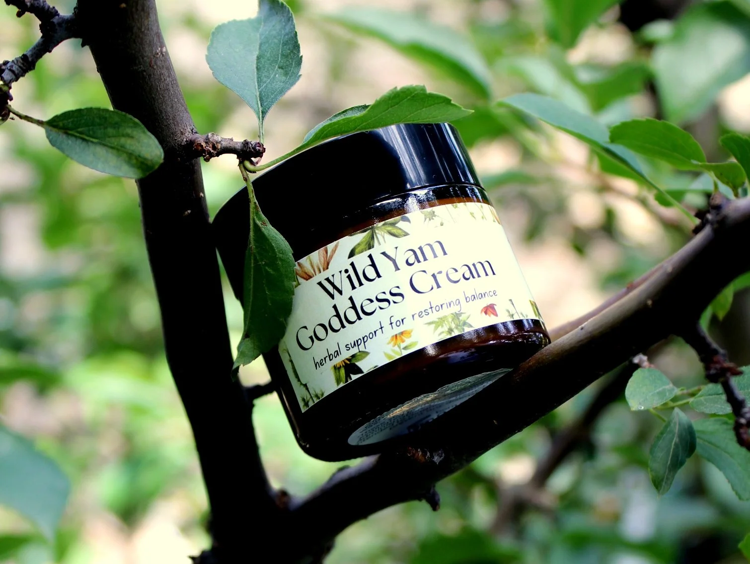 Wild Yam Goddess Cream