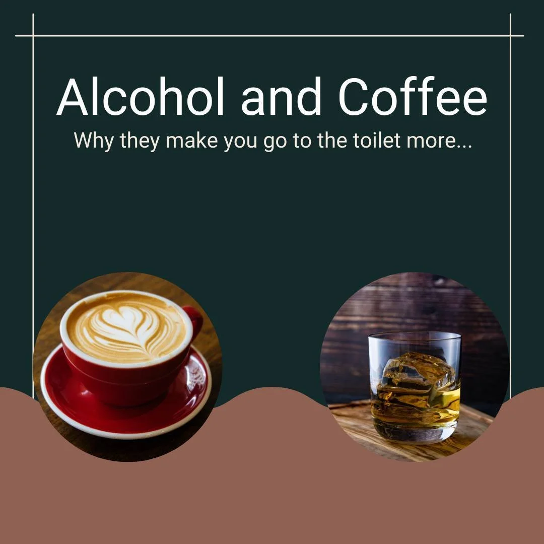 Coffee and alcohol are diuretics that make you pee more but here's why:
The caffeine in coffee, and ethanol in alcohol inhibit the secretion of a hormone called antidiuretic hormone (ADH) also known as vasopressin. ADH causes more water to return to 