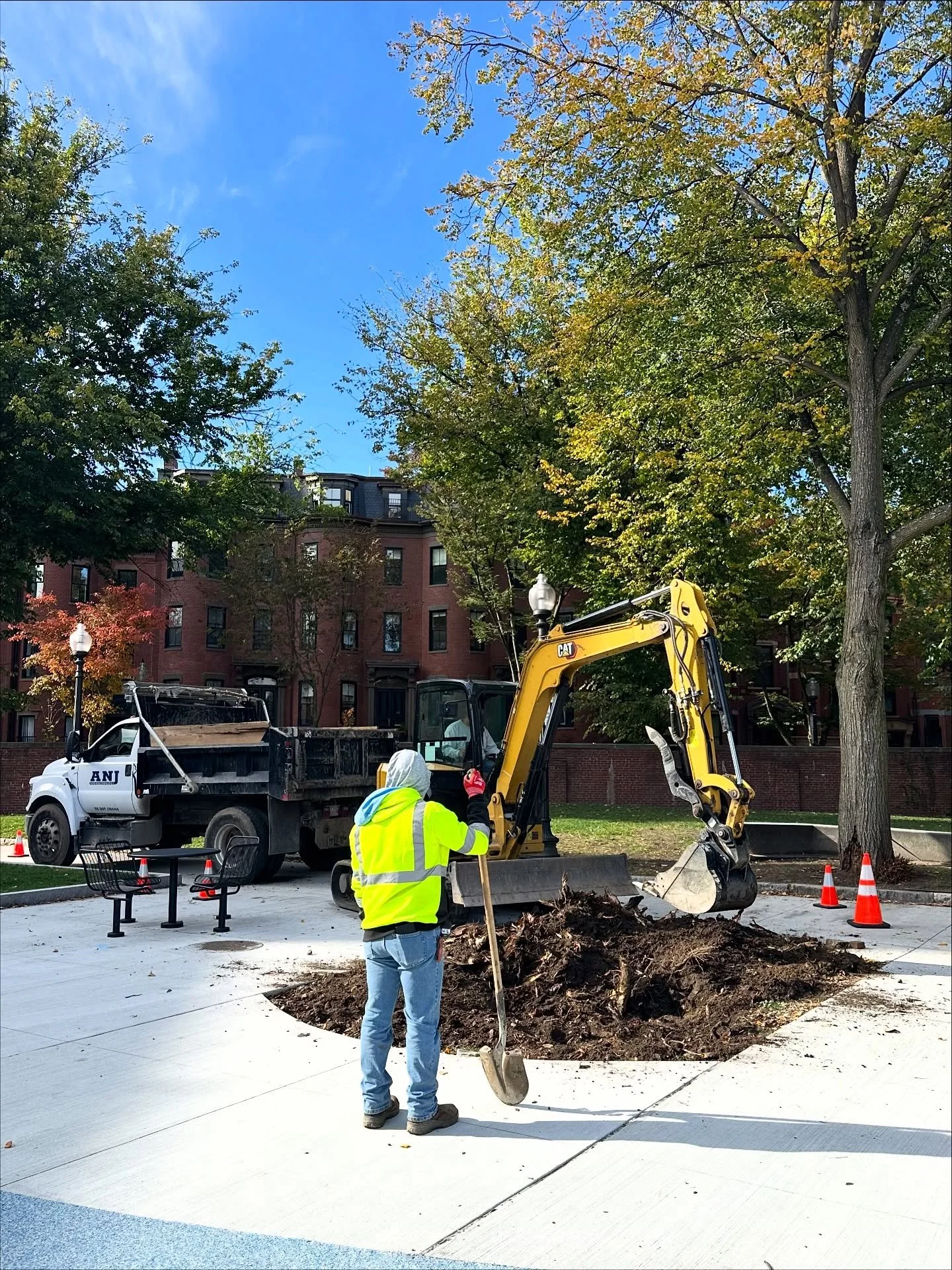 🌳 A new chapter at Titus Sparrow Park! At the end of October, @bostonparksdept planted a young tree in the central playground area to carry on the legacy of our beloved linden tree. The iconic linden was removed in July due to safety concerns, and w