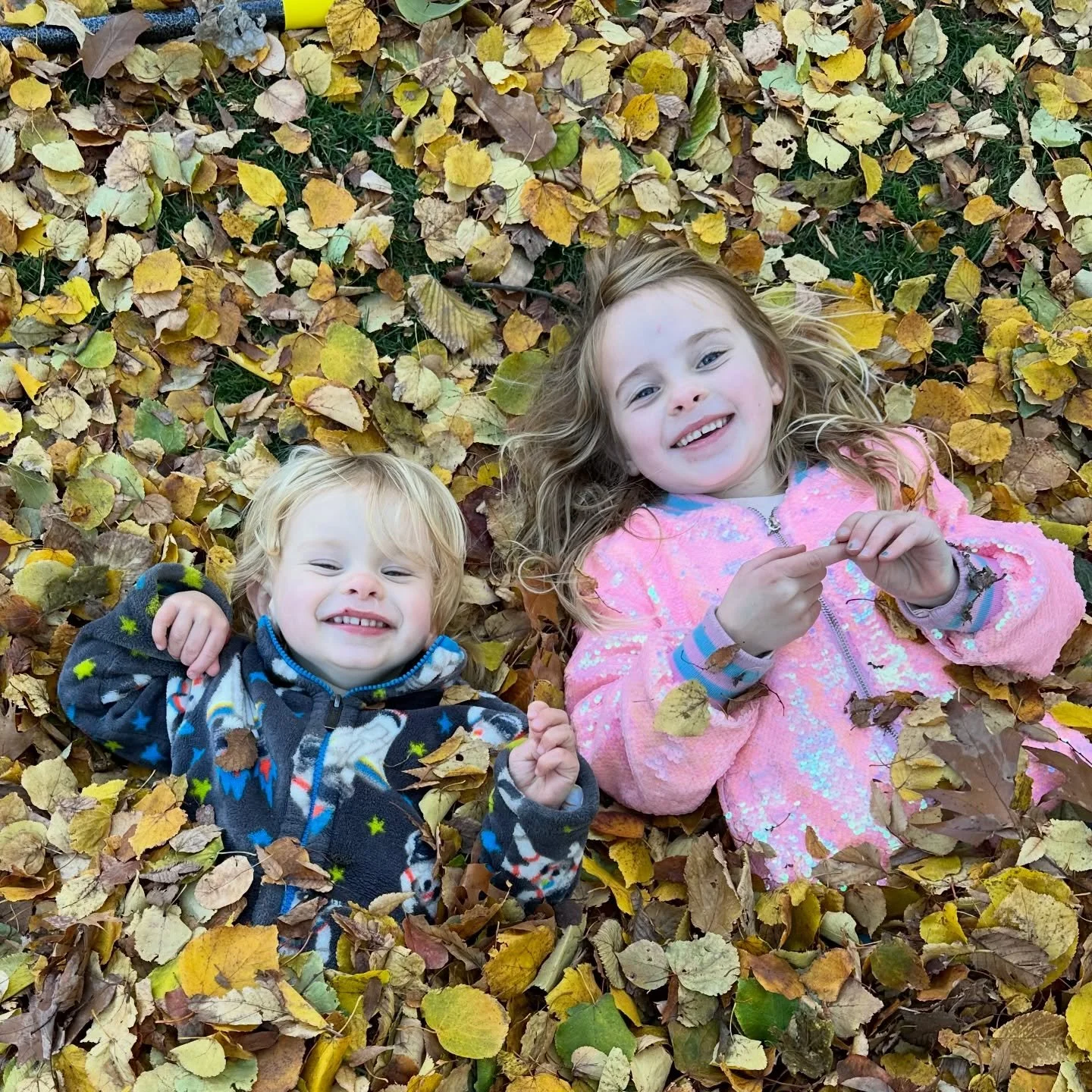Fall fun at the park! We love seeing our little neighbors making leaf piles, jumping in, and giggling 🍂✨
