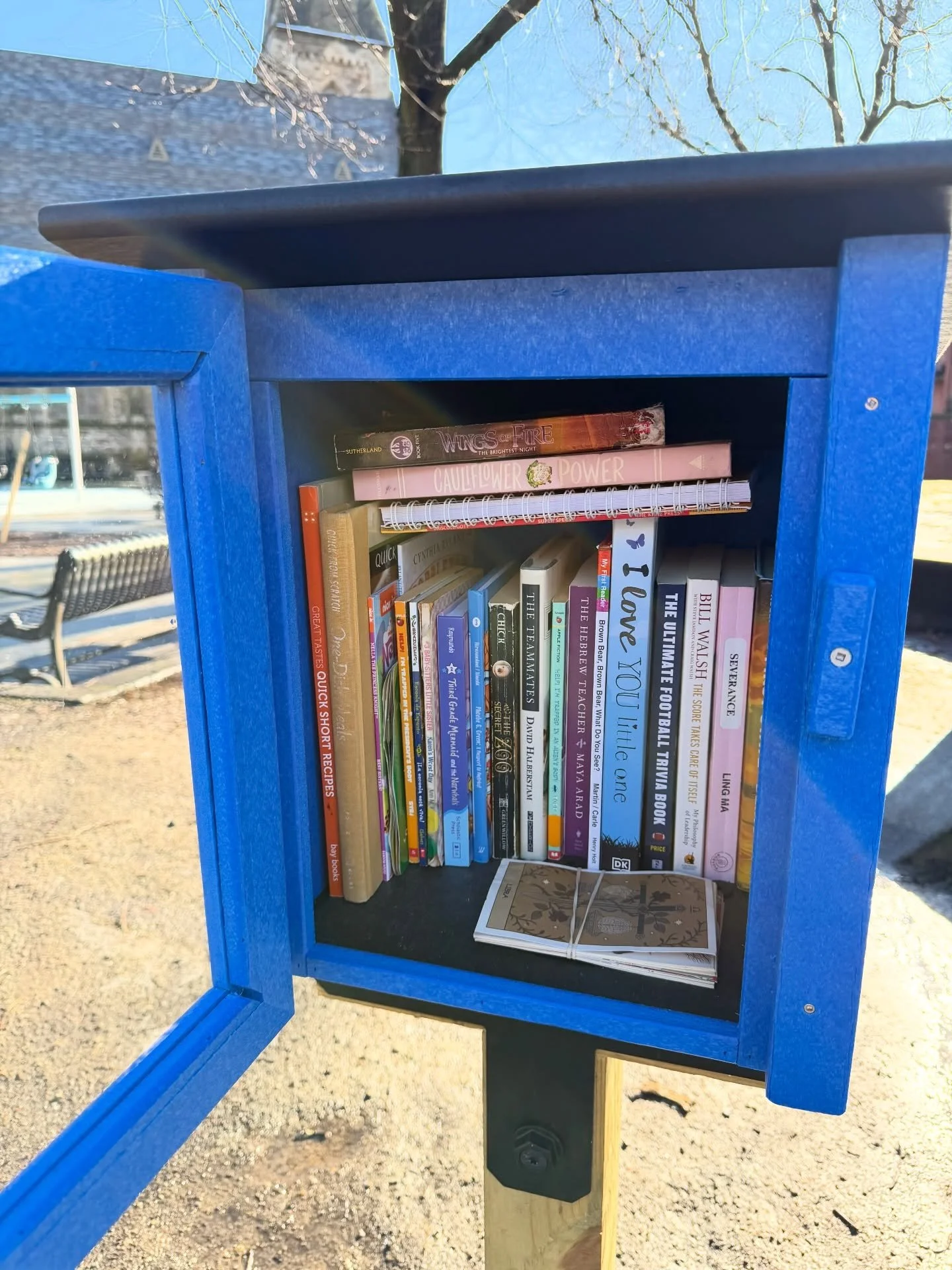 Our Free Little Library is stocked up! Stop by the park today to grab a book for the weekend 📚💙💚