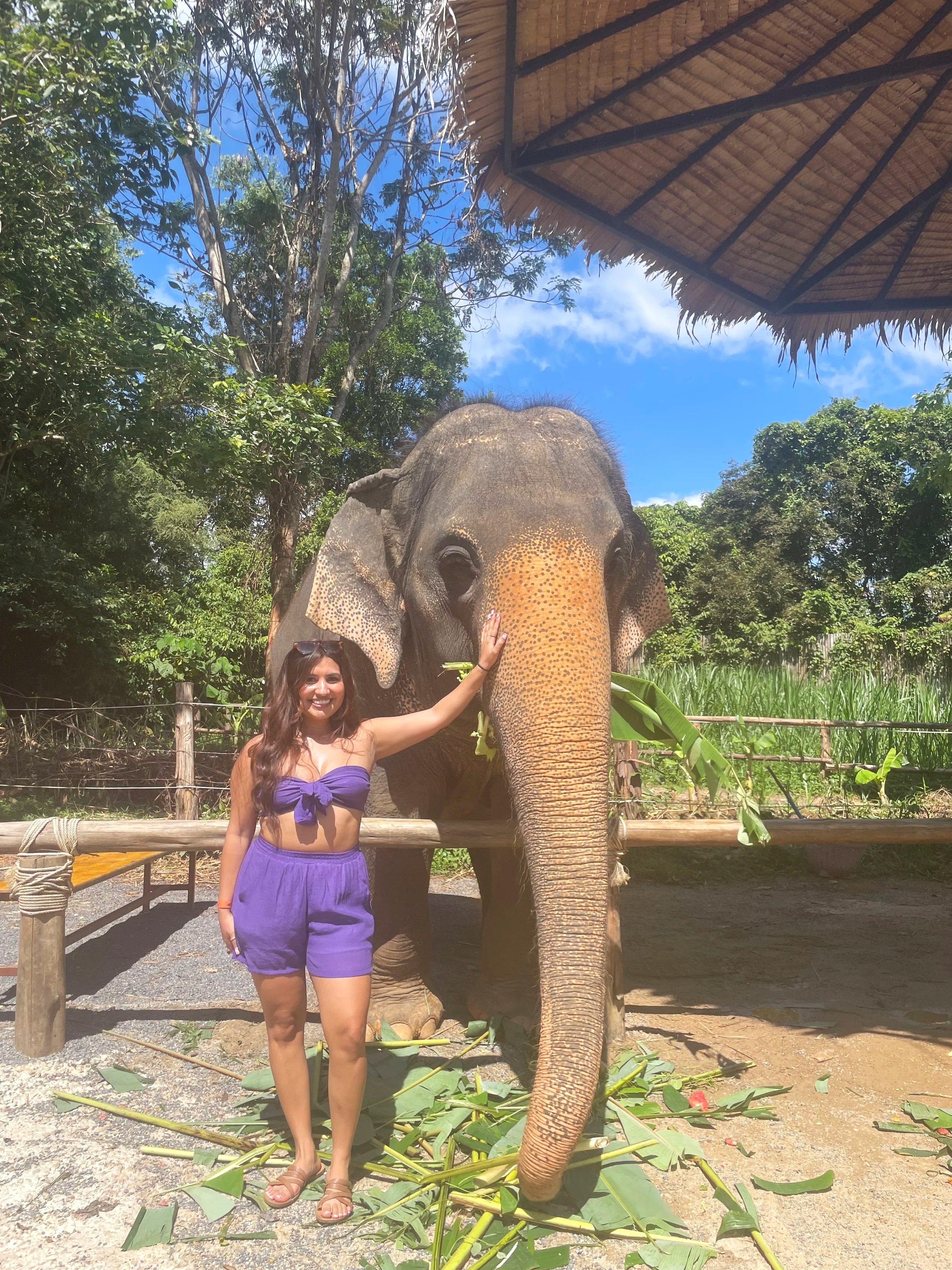 Elephant Sanctuary Experience