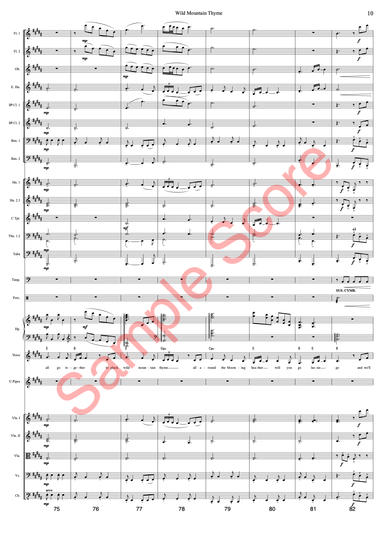 Wild Mountain Sample Score 5.png