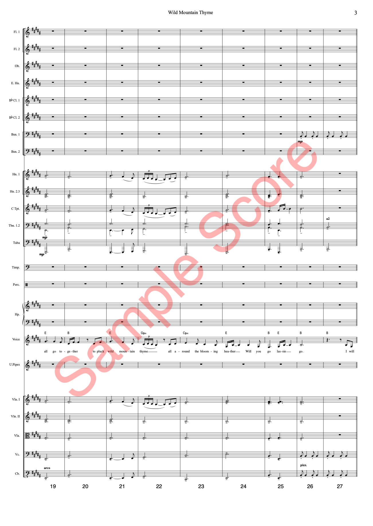 Wild Mountain Sample Score 3.png
