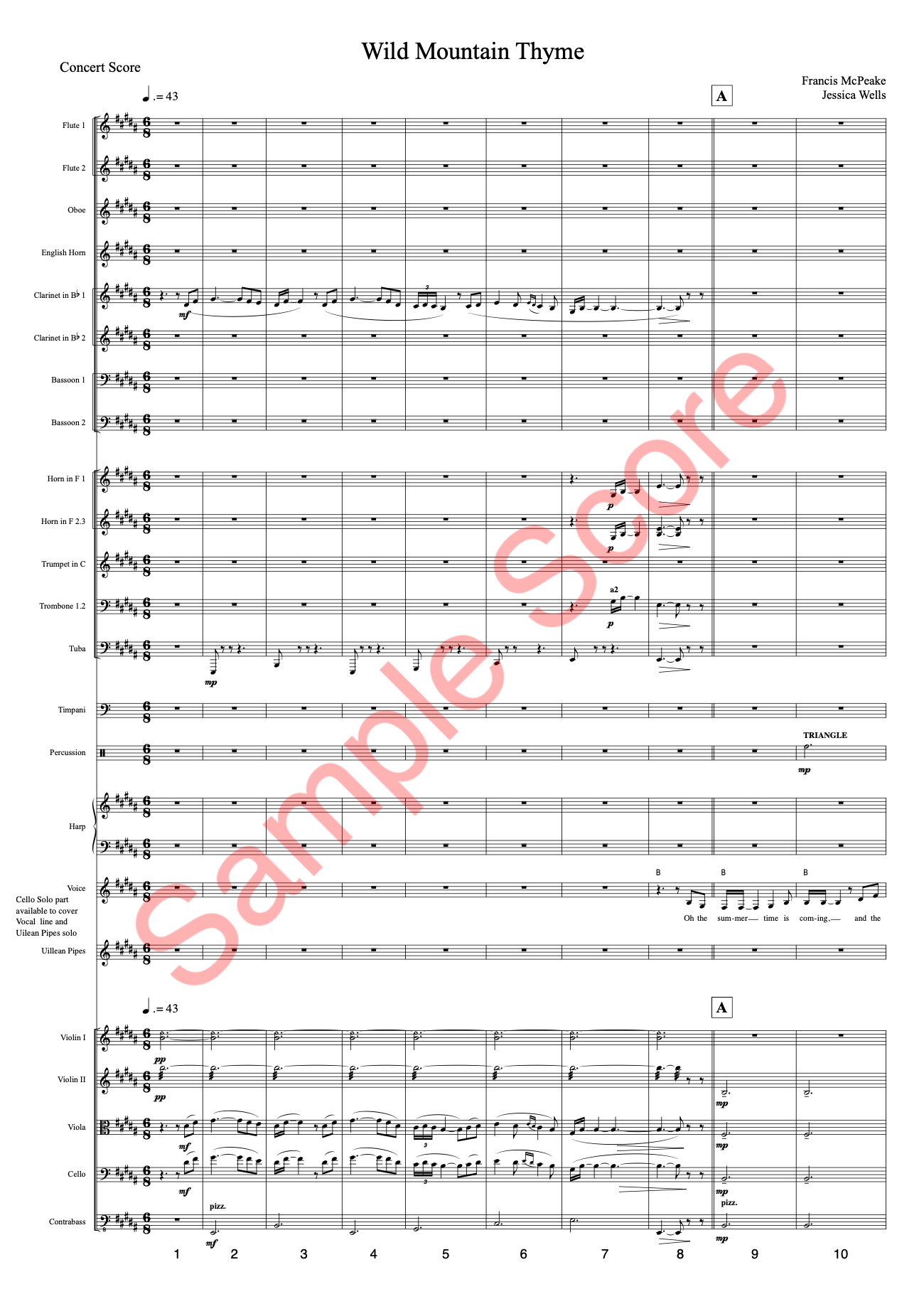 Wild Mountain Sample Score 1.png