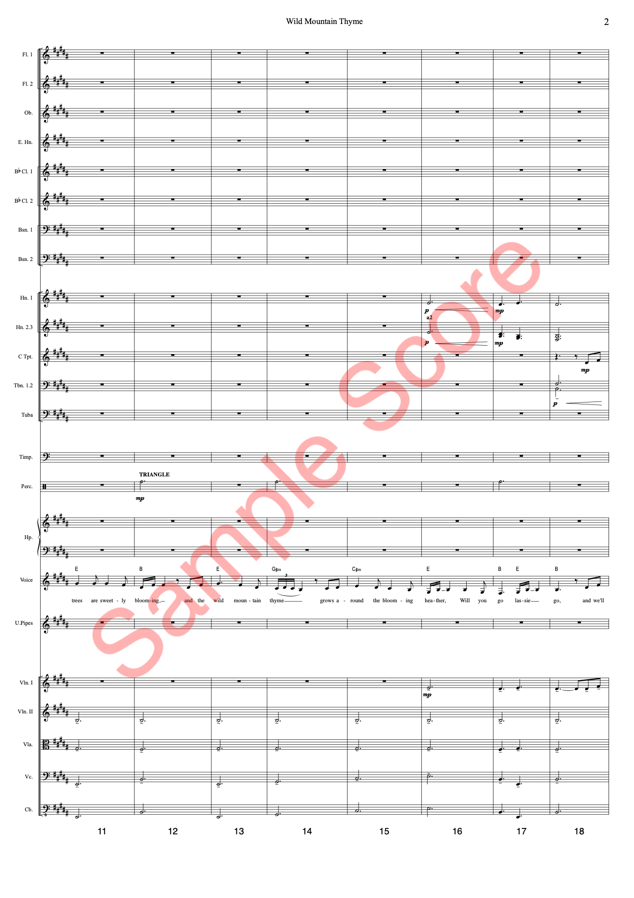 Wild Mountain Sample Score 2.png