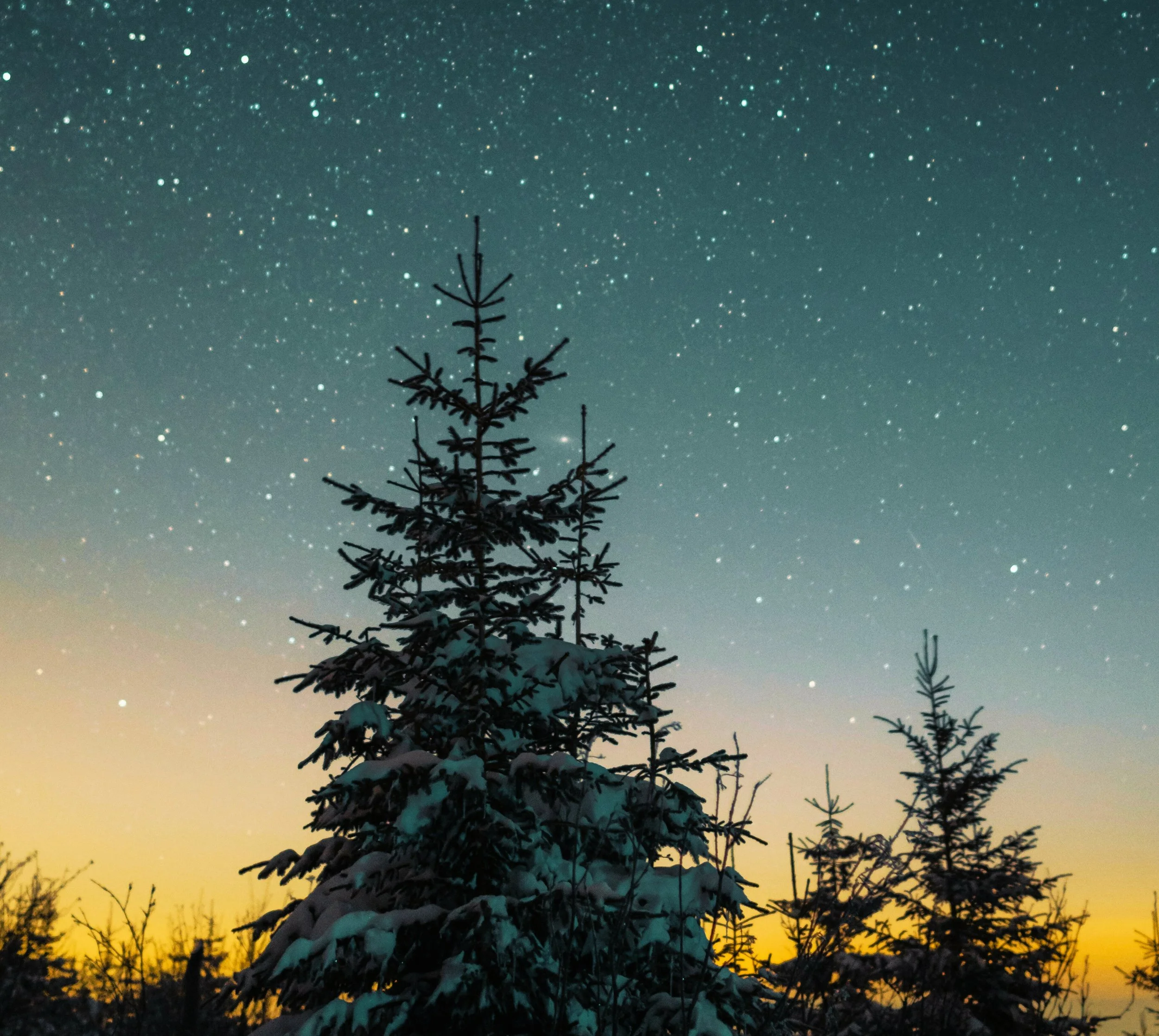 O Holy Night (SATB & Orchestra)