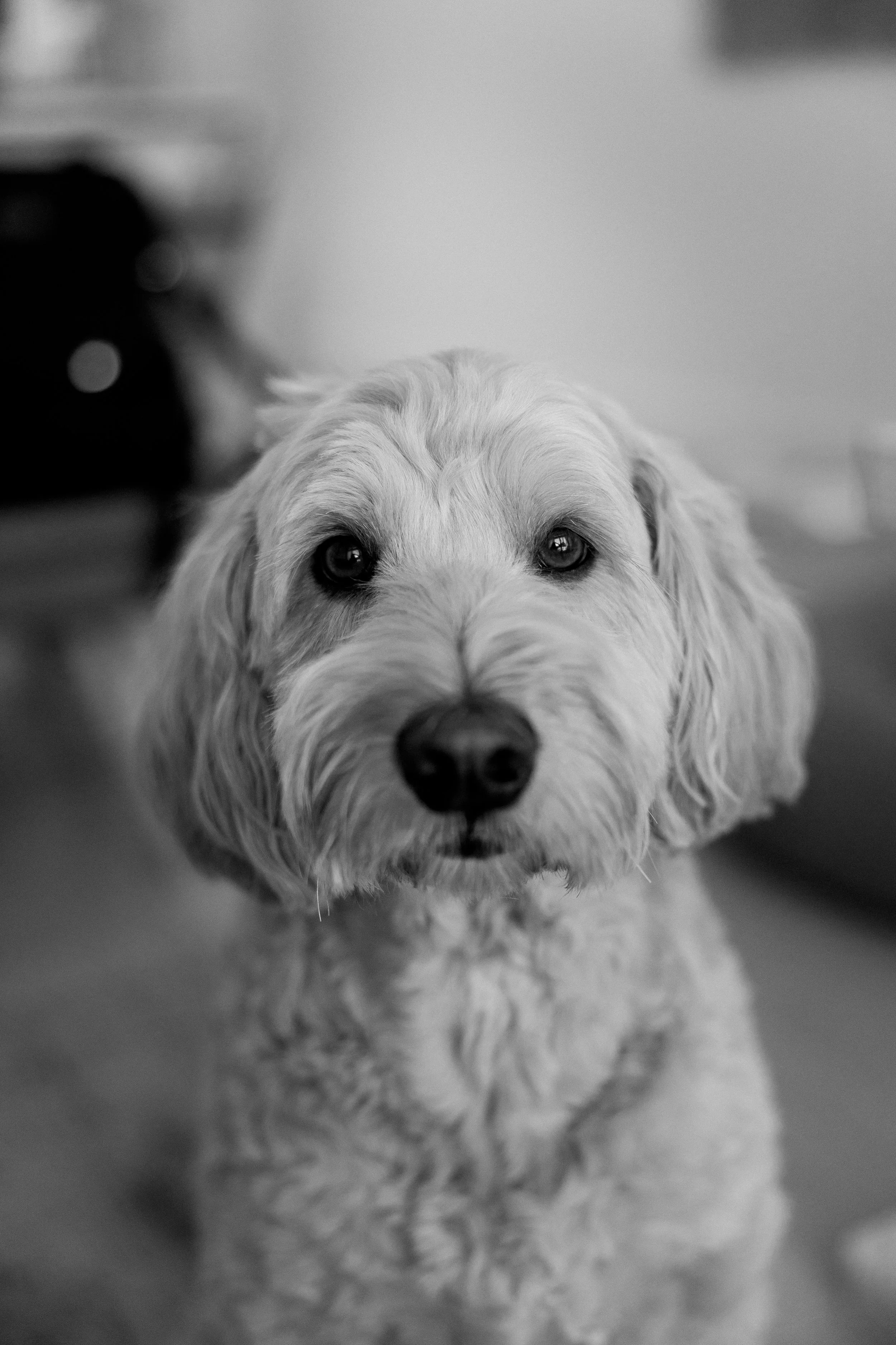 Smith Family-126.jpg