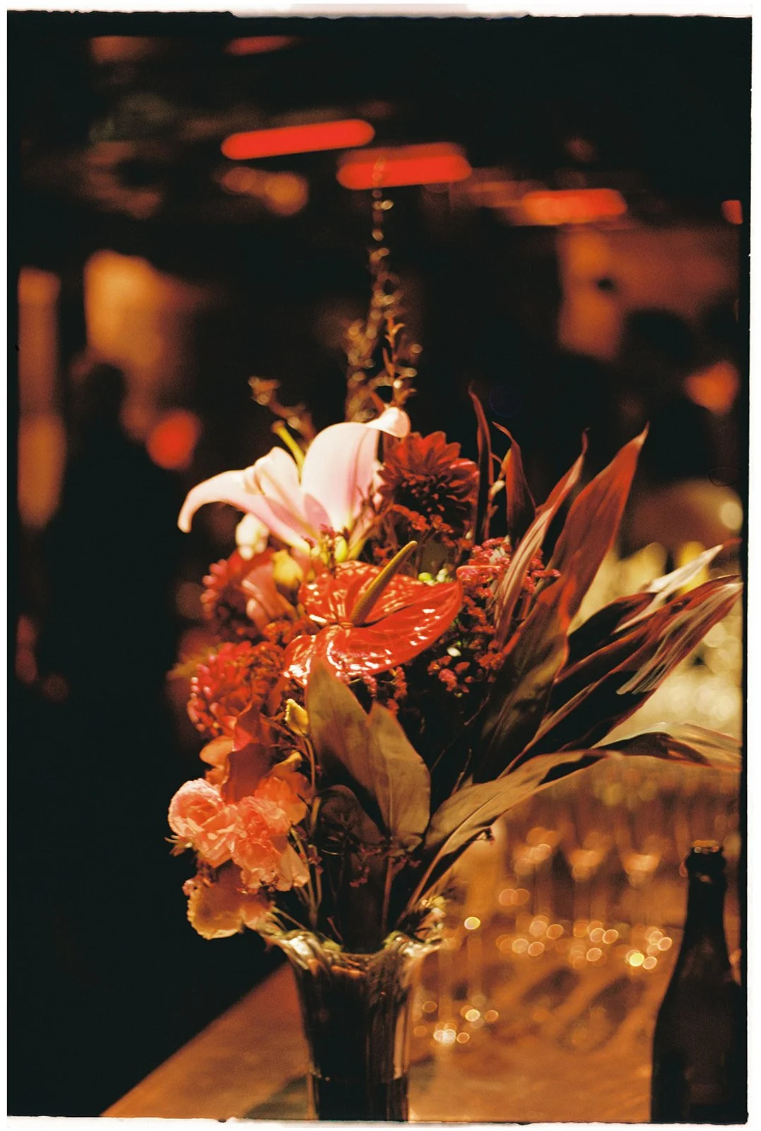 ElizaTish Rowie Holiday-514.jpg
