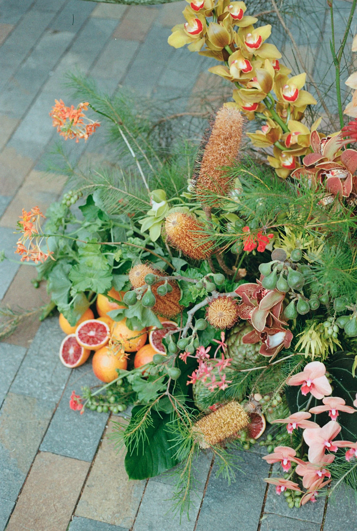 JacksonHarris (34)-positive.jpg