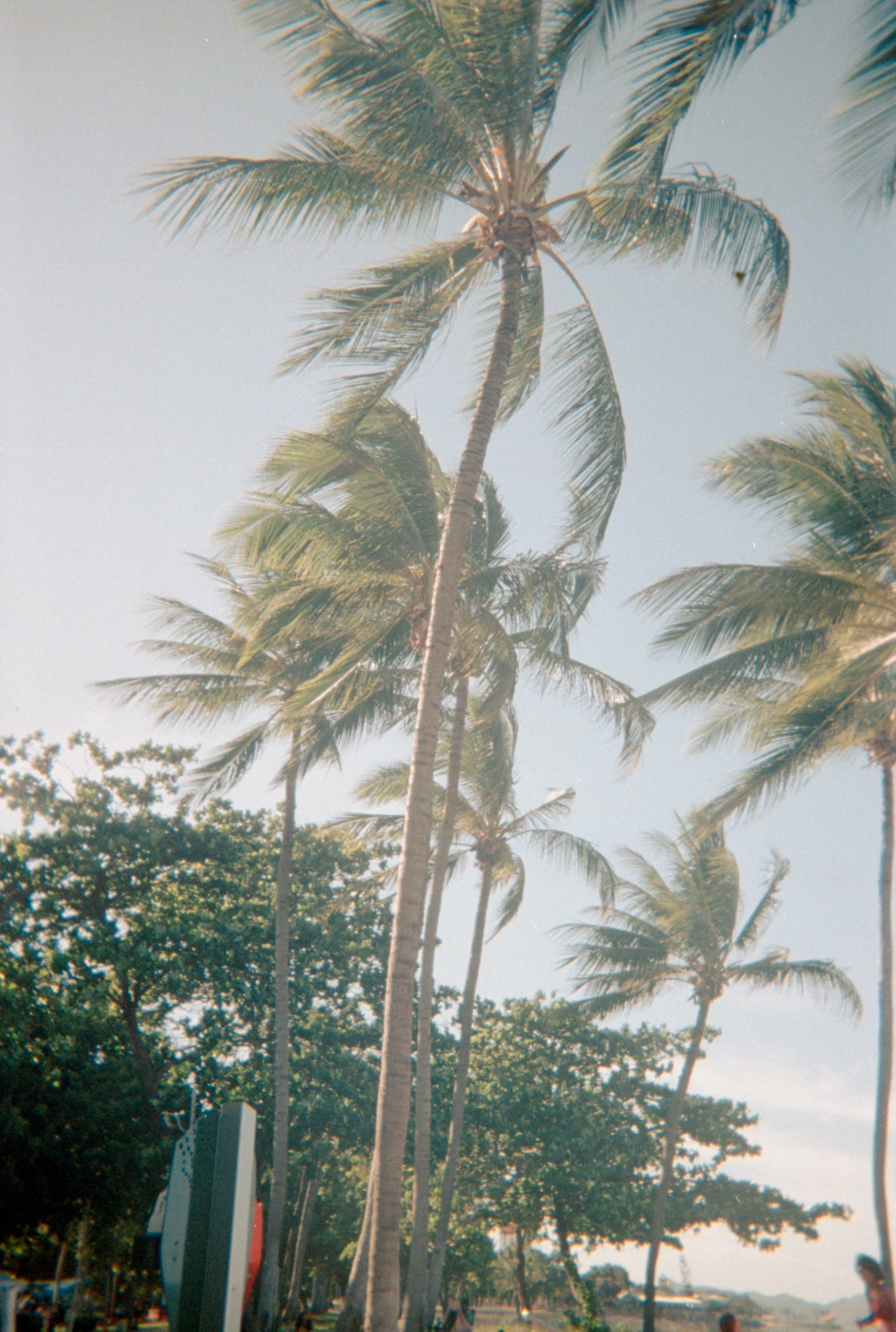 TSVMali (53)-positive.jpg