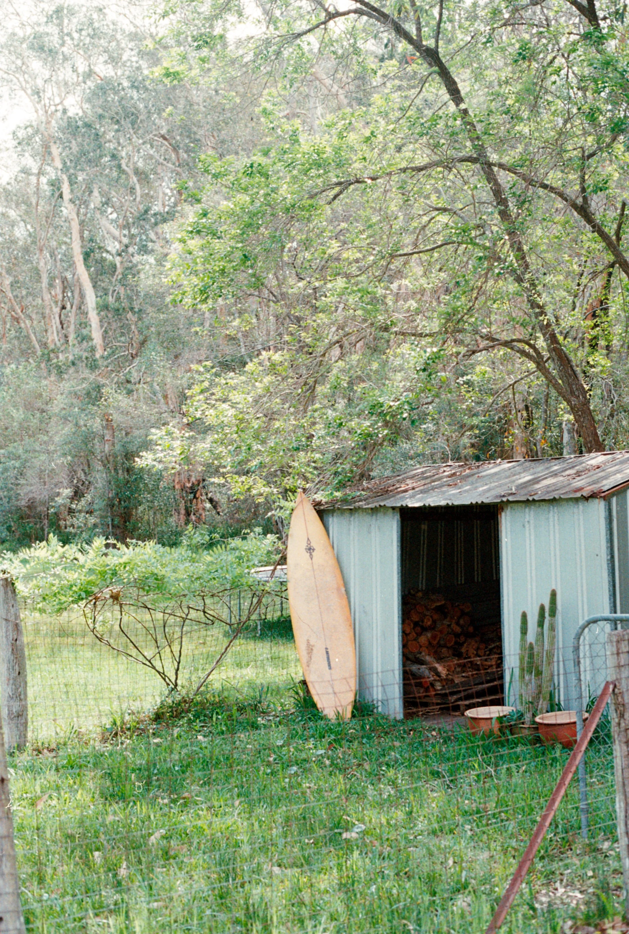 TSVMali (26)-positive.jpg