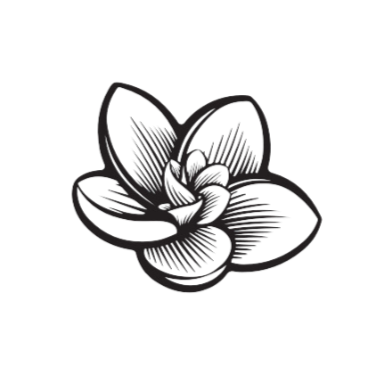 Line drawing of a open lotus flower with five petals