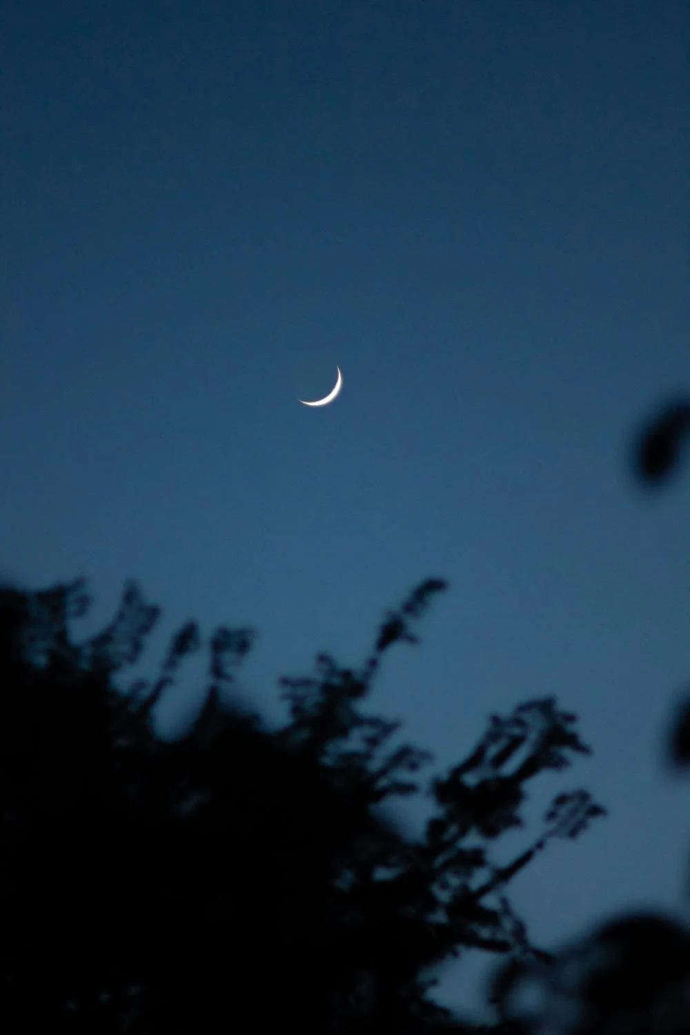 How to Stand out as a Photographer