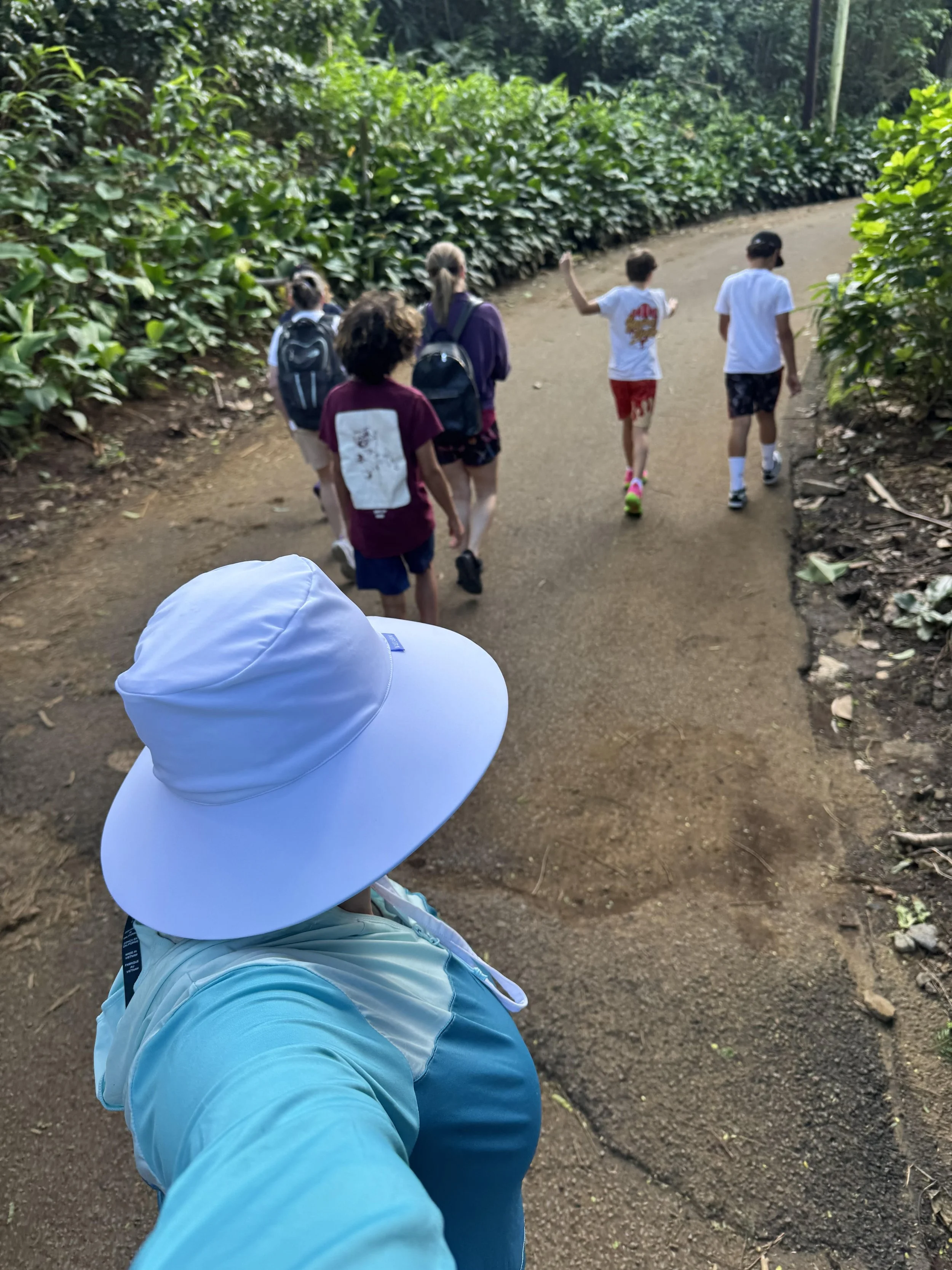 Community Hike | May 19 10am