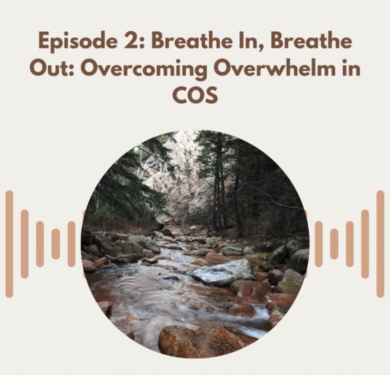 Episode 02: Breathe In, Breathe Out: Overcoming Overwhelm in COS