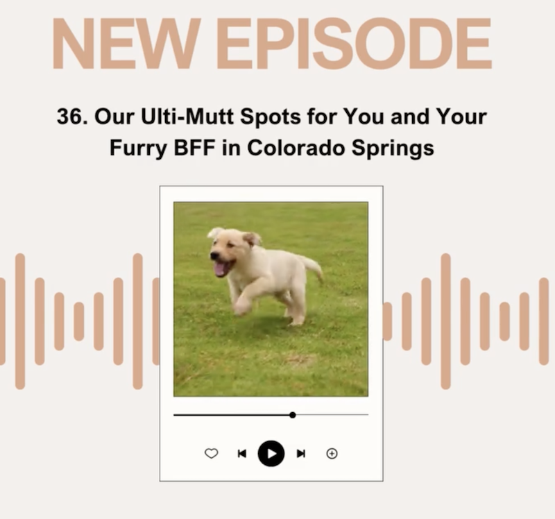 Episode 36: Our Ulti-Mutt Spots for You and Your Furry BFF in Colorado Springs