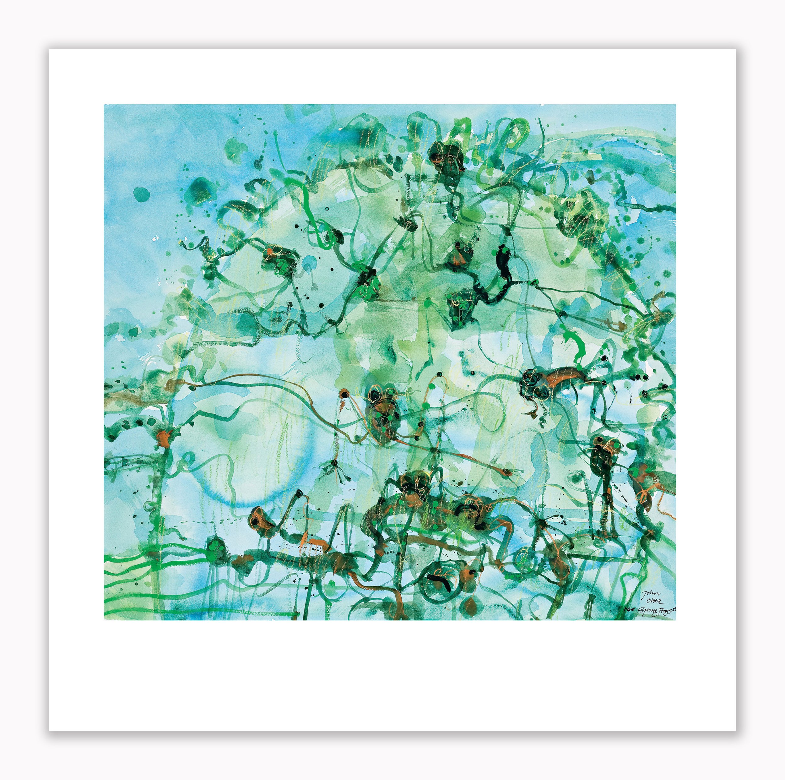 Spring Frogs ll