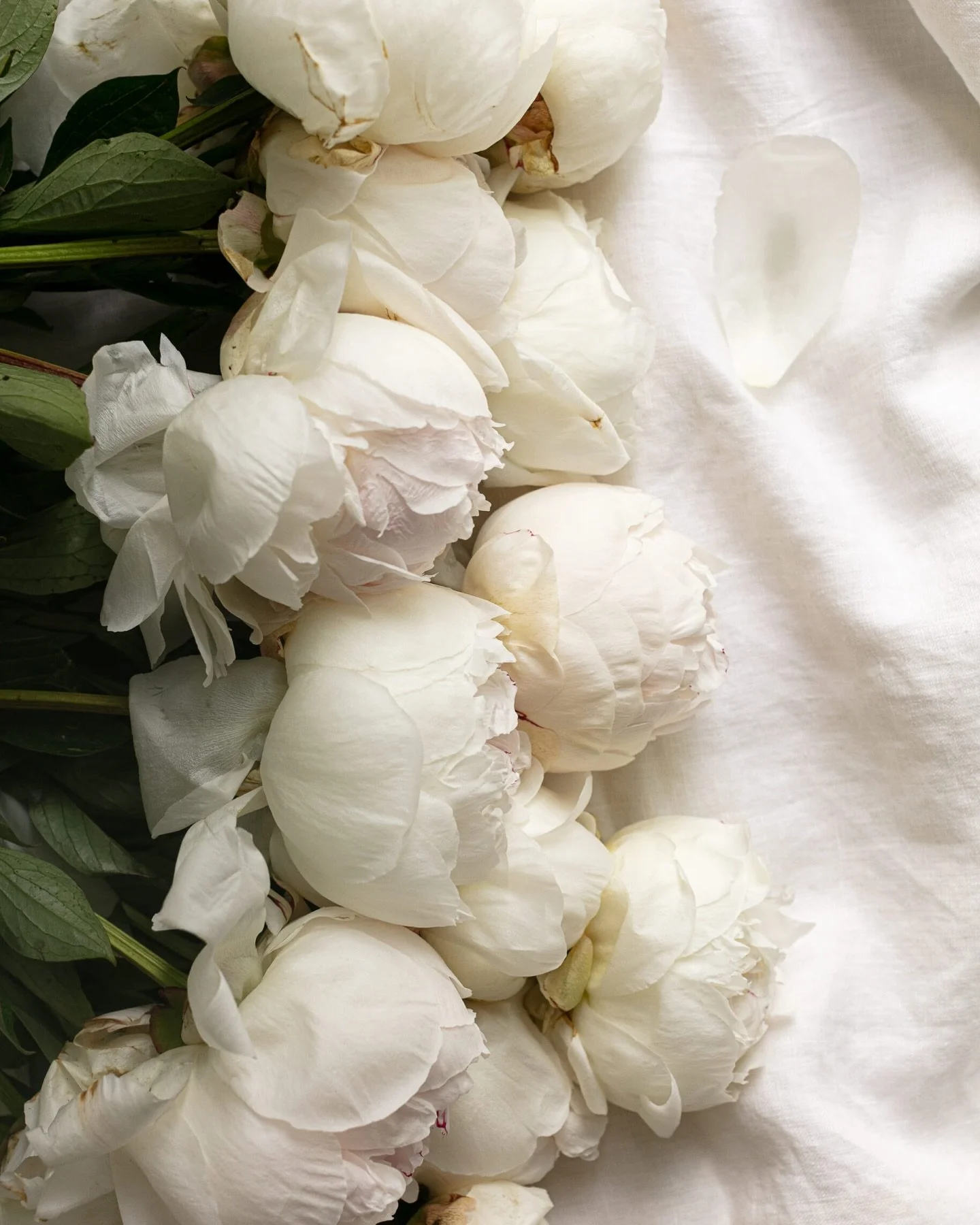 This Mother&rsquo;s Day, we&rsquo;re thinking about all the women who shape our lives&mdash;mothers, grandmothers, mentors, friends, and chosen family. However you honor them today, we hope you take a moment to indulge in your own reflections and cel