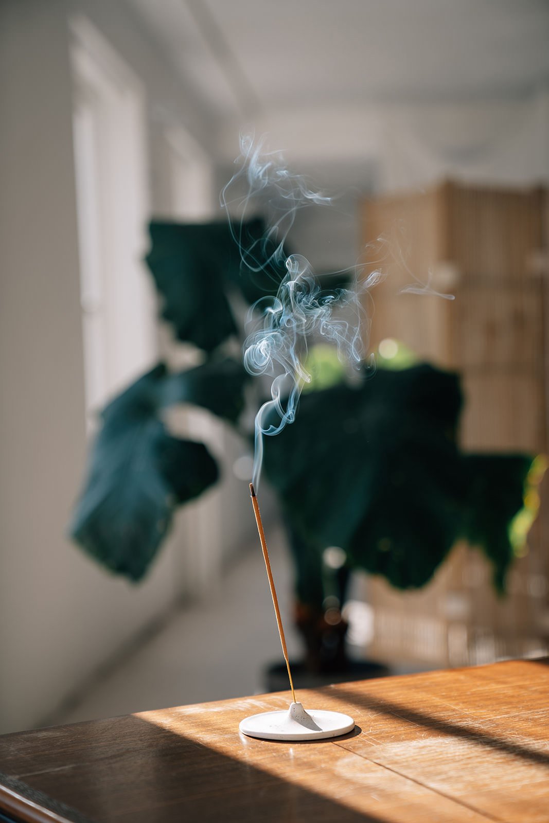 Inclusive Marketing Strategy