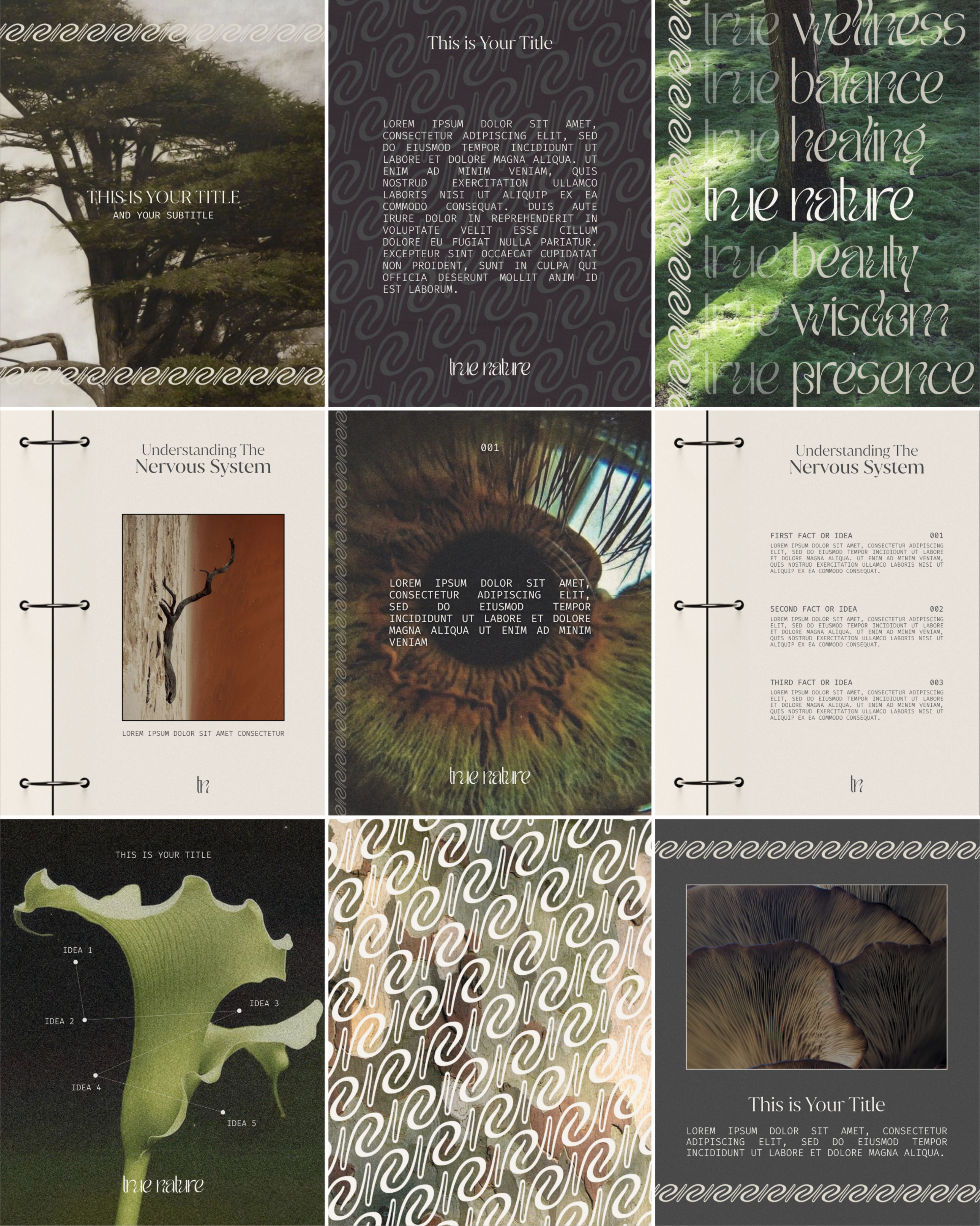Grid.png