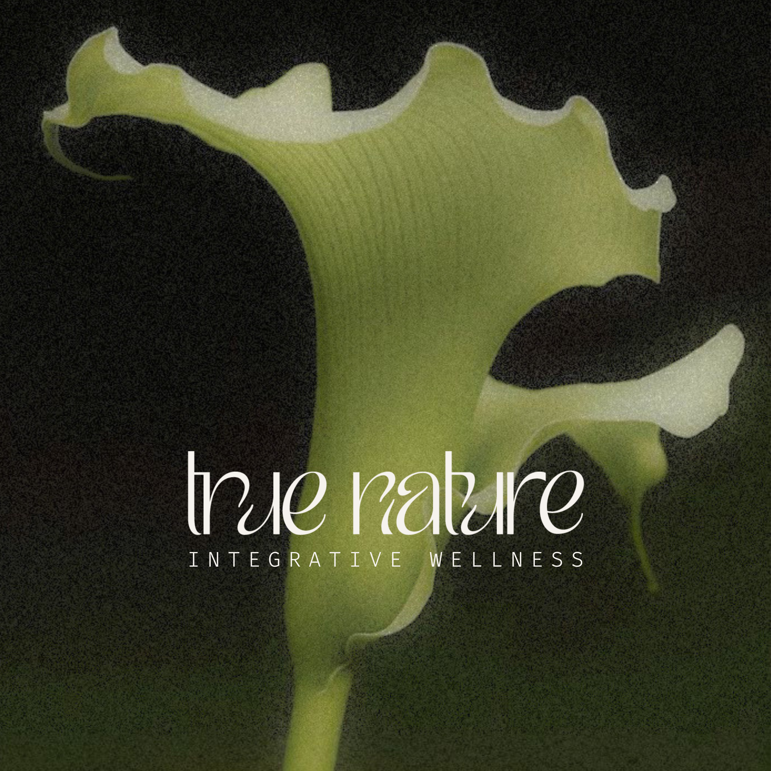 True Nature : Integrative Wellness