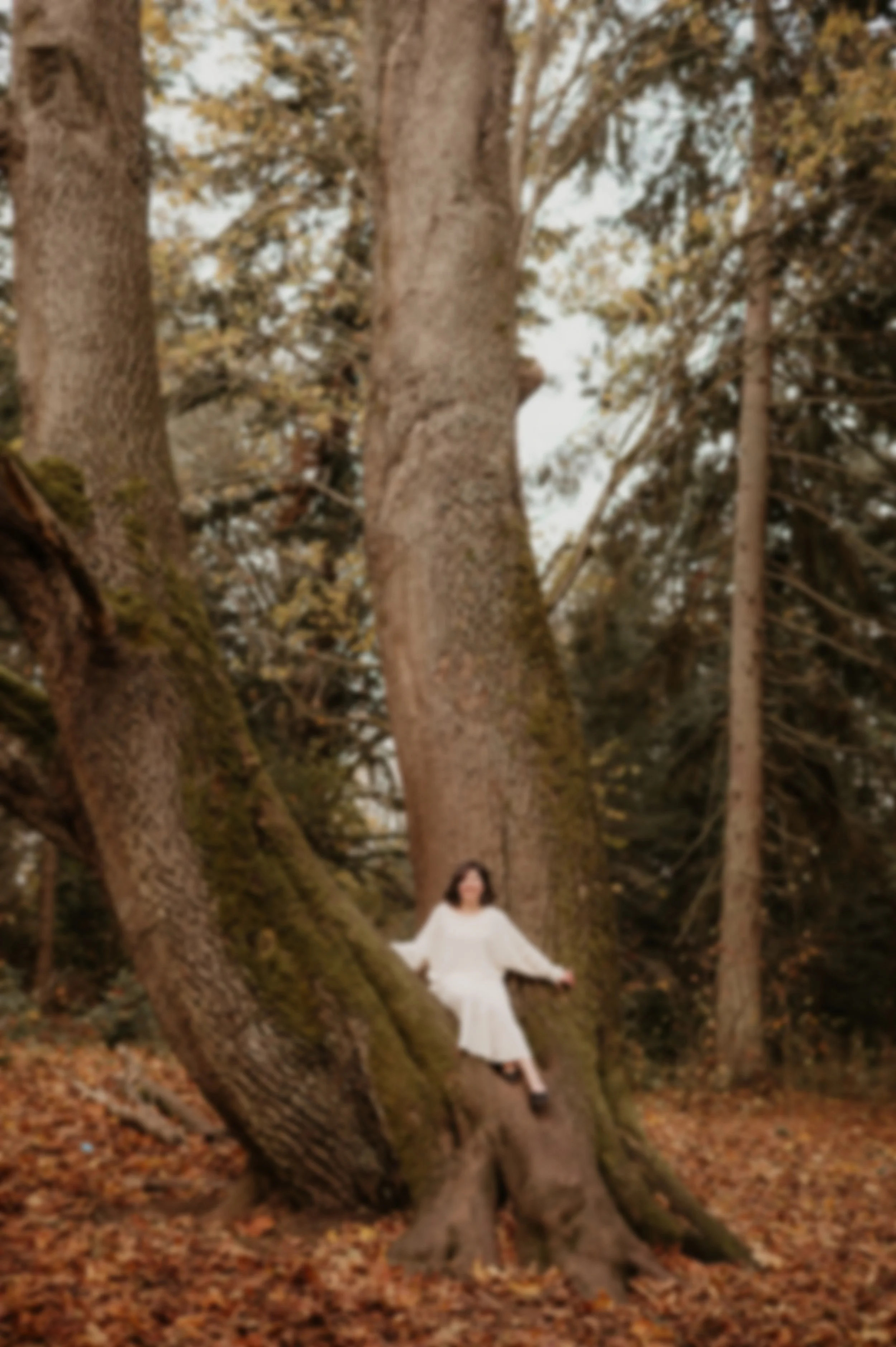 A woman in a white dress sitting on the roots of a large tree in a forest with falling autumn leaves.